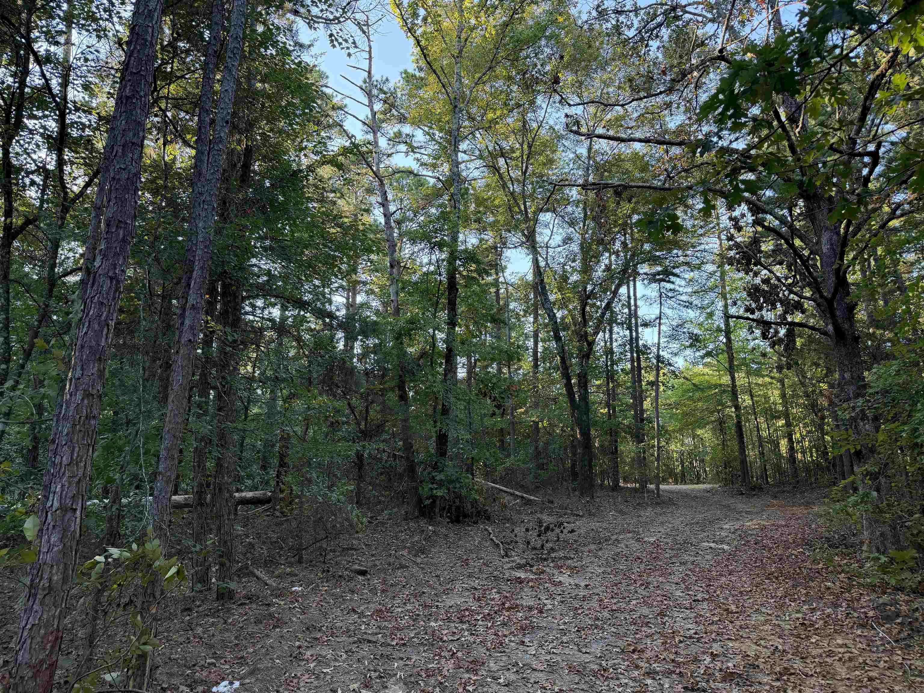 1418 Grassy Hollow Road Property Photo 43