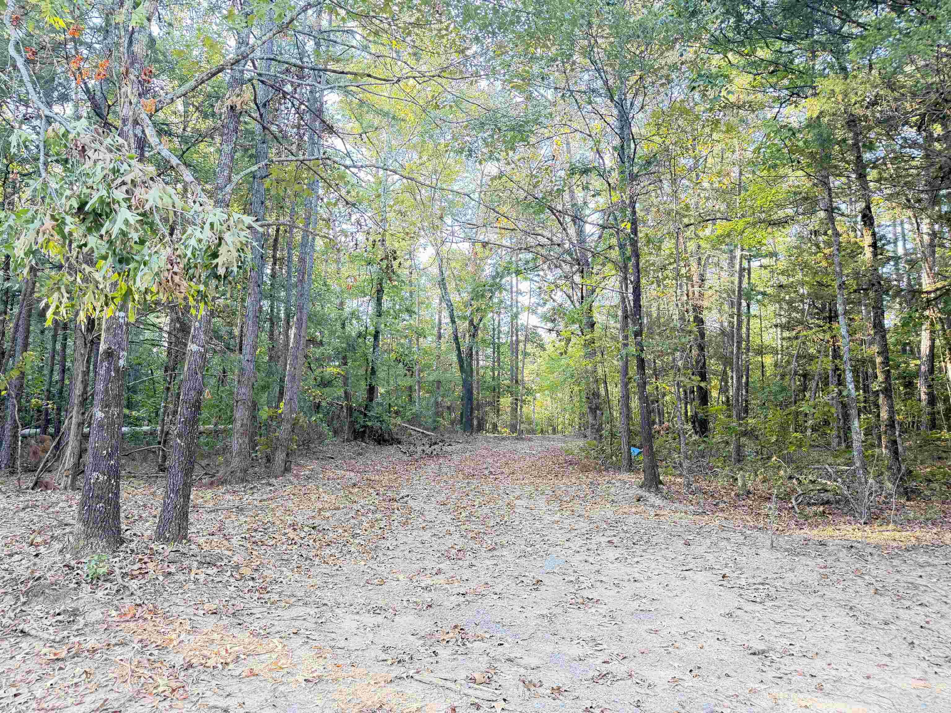 1418 Grassy Hollow Road Property Photo 44