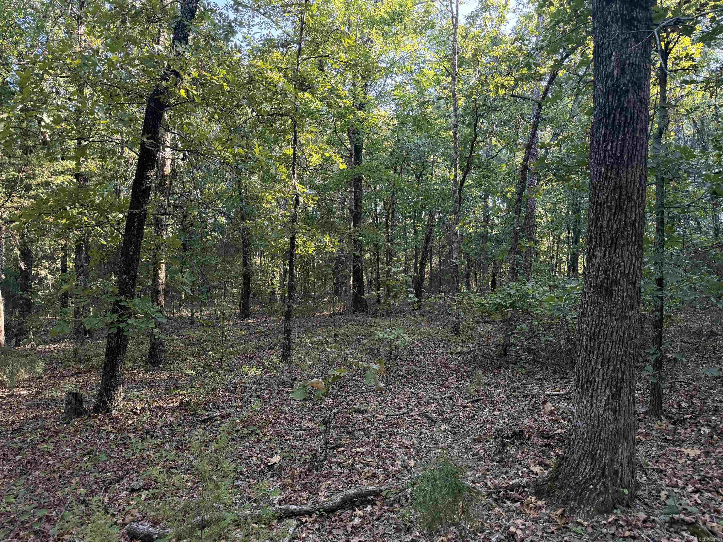 1418 Grassy Hollow Road Property Photo 45