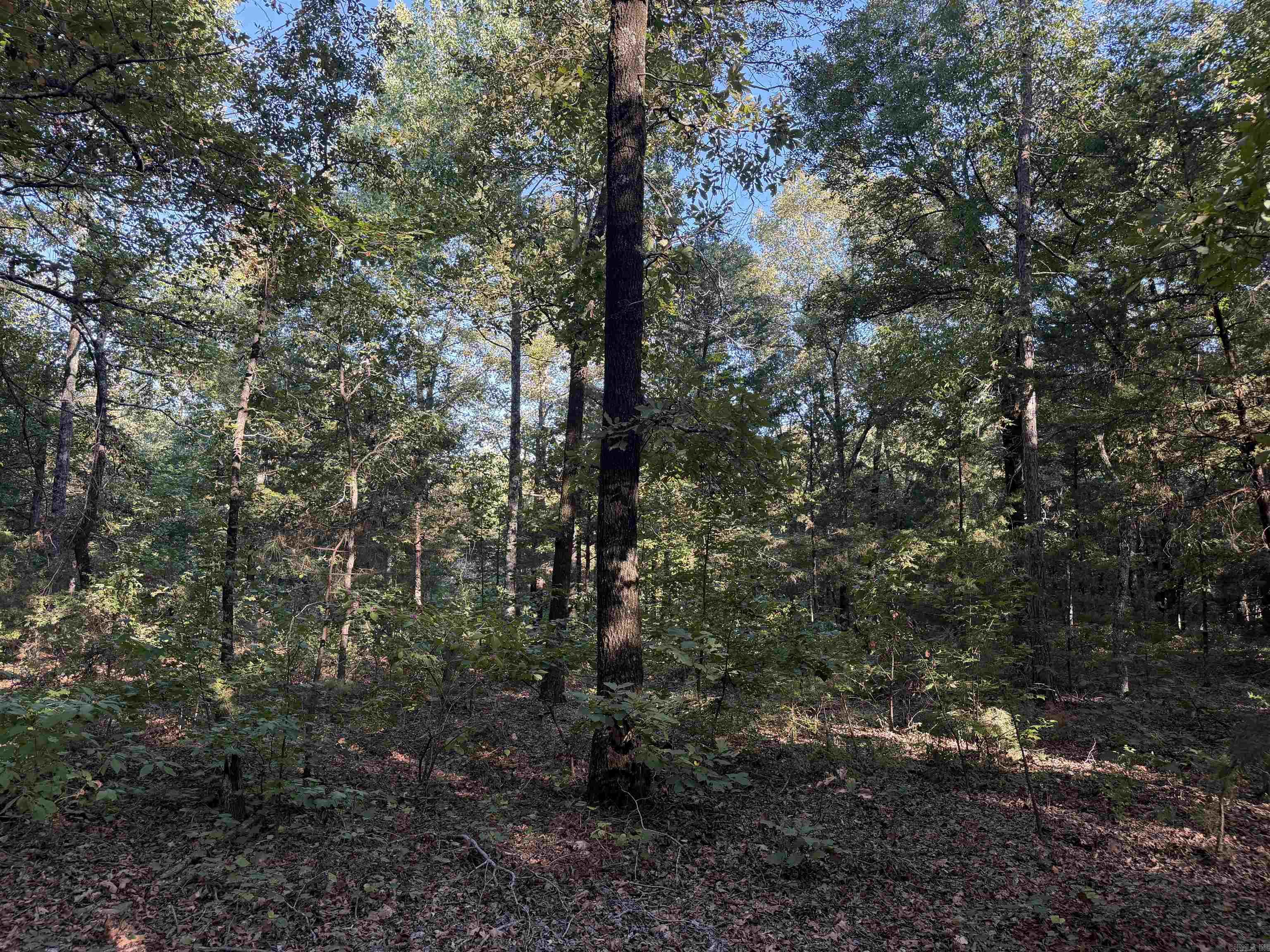 1418 Grassy Hollow Road Property Photo 46