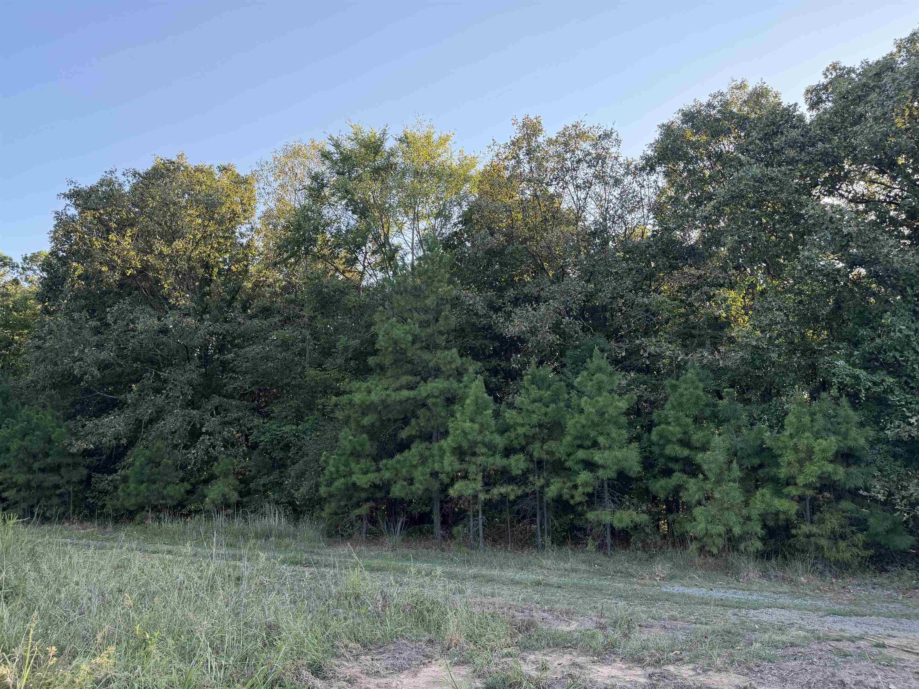 1418 Grassy Hollow Road Property Photo 47
