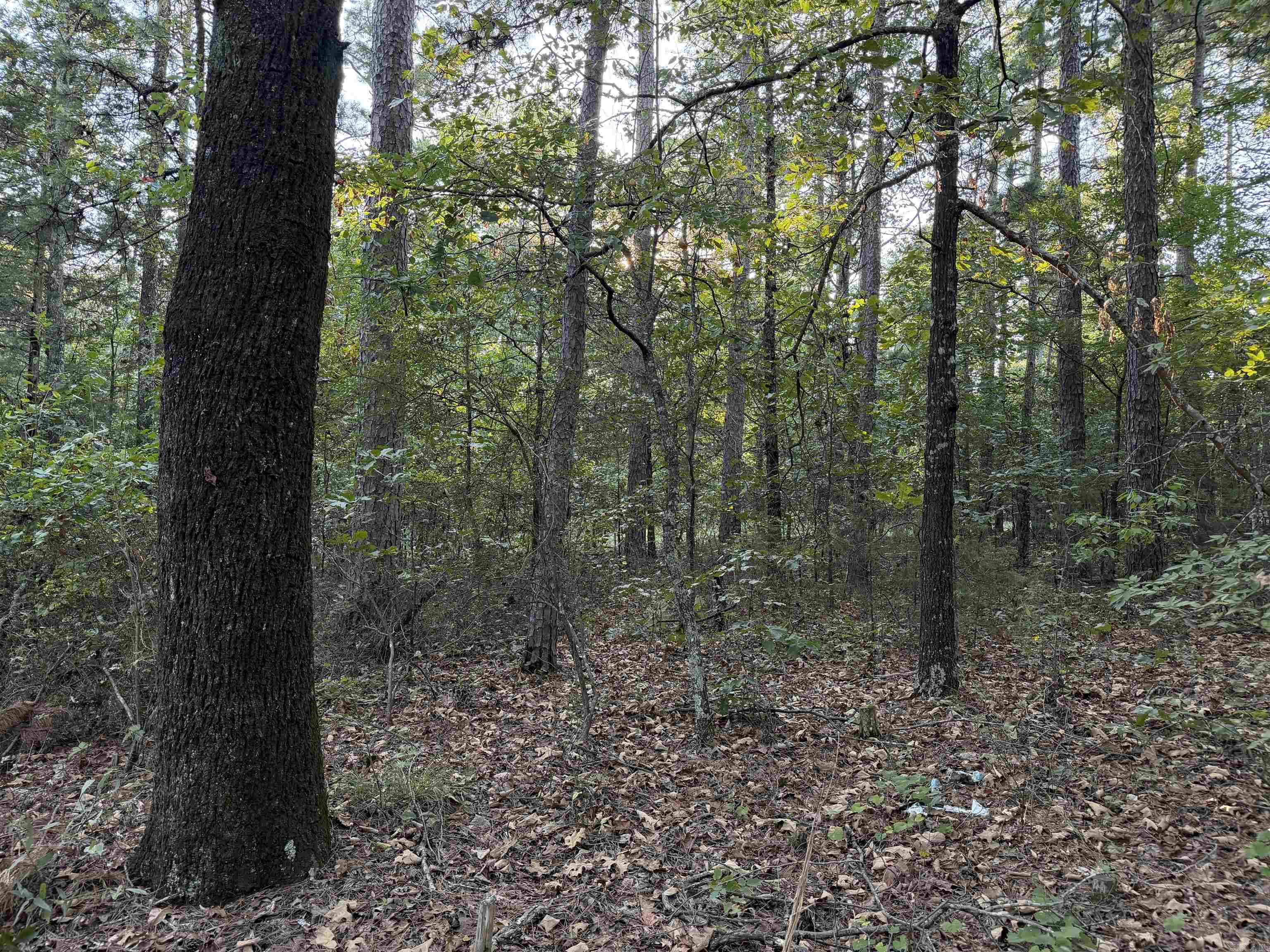 1418 Grassy Hollow Road Property Photo 48
