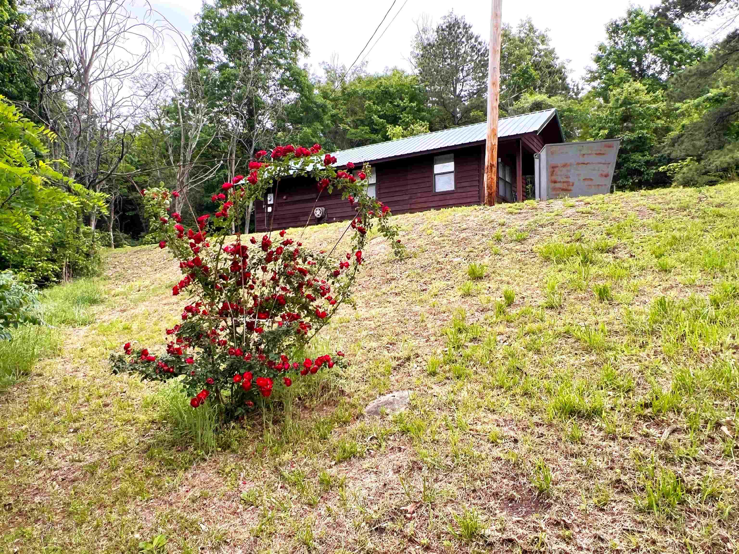 75 Ruddells Road Property Photo 40