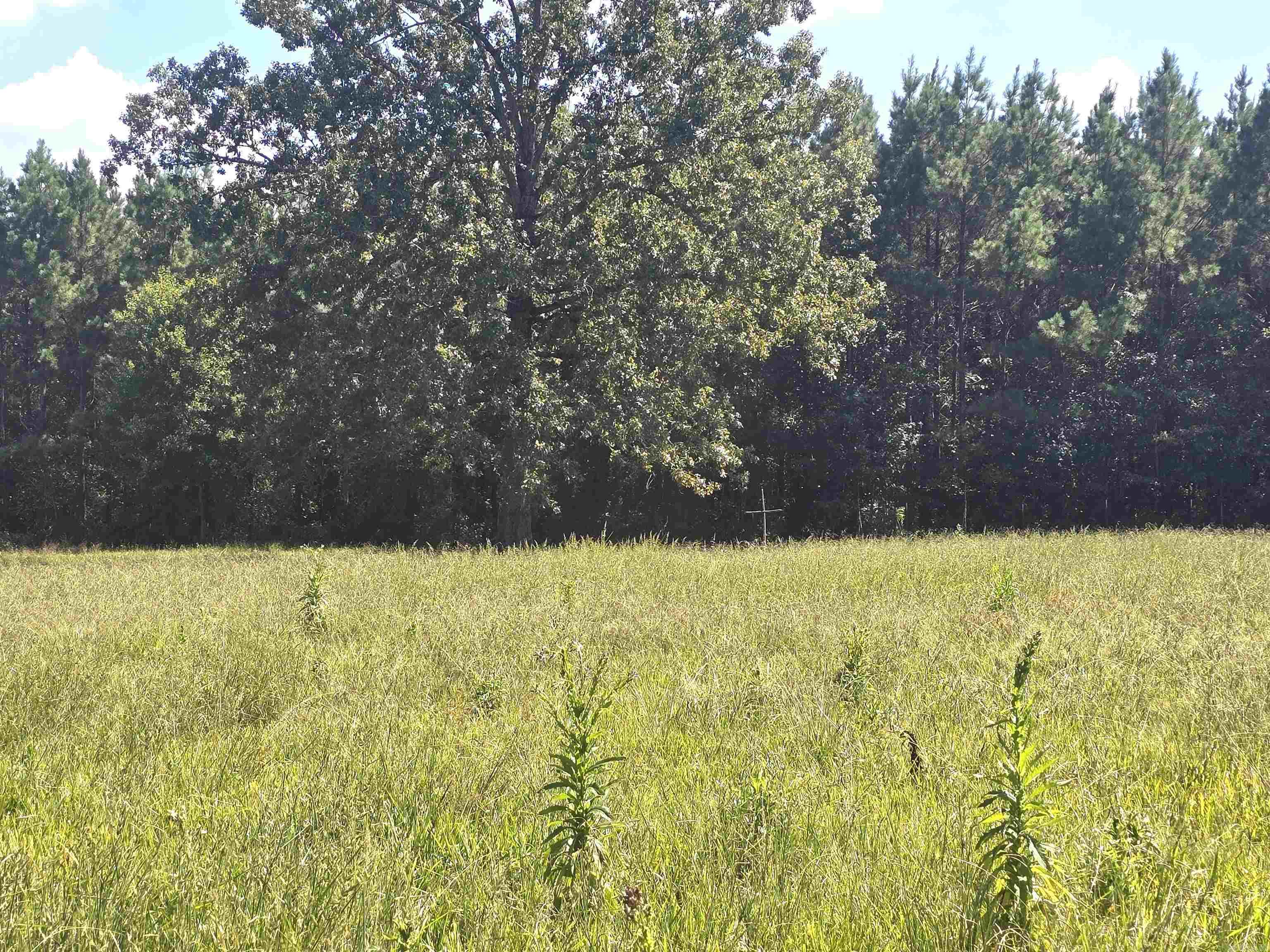 612 Tracy Road Property Photo 28