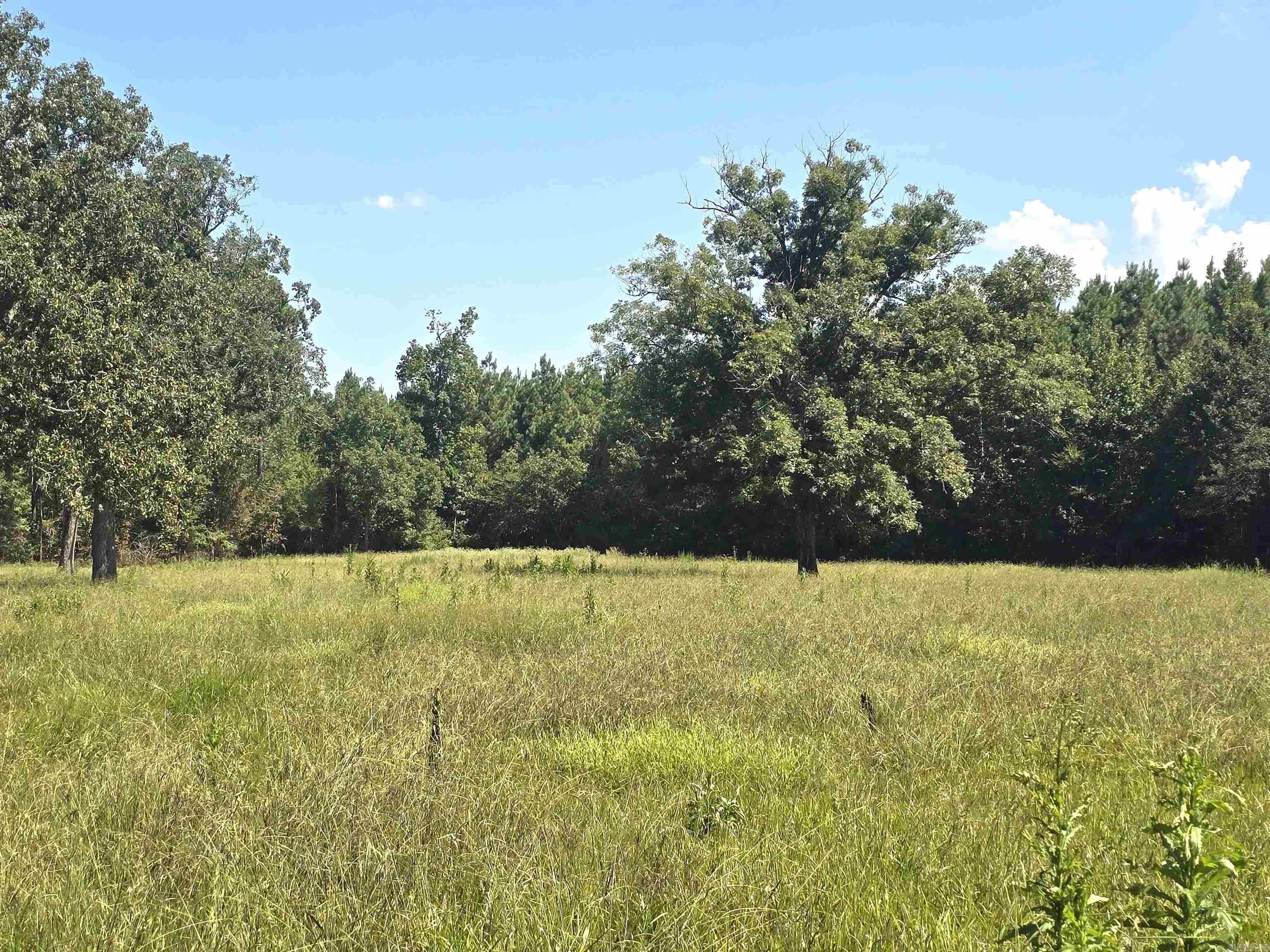 612 Tracy Road Property Photo 29