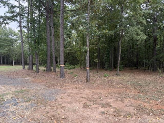 10957 State Hwy 160 Highway Property Photo 3