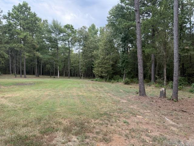 10957 State Hwy 160 Highway Property Photo 4