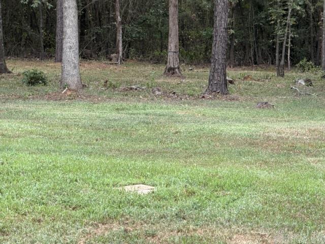 10957 State Hwy 160 Highway Property Photo 5