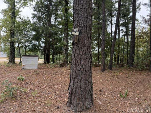 10957 State Hwy 160 Highway Property Photo 6