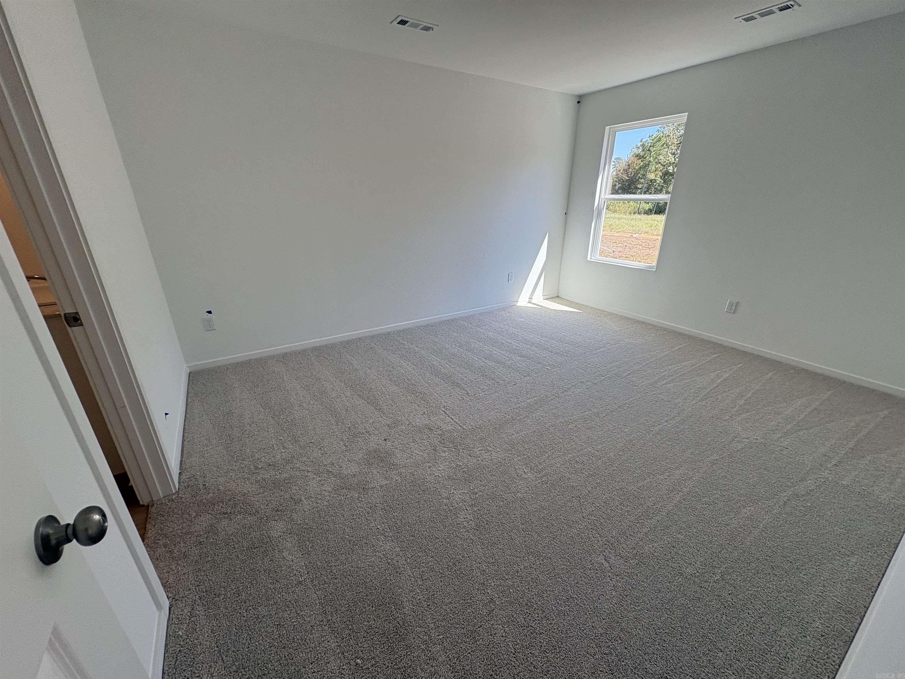 15168 Thompson Branch Trail Property Photo 5