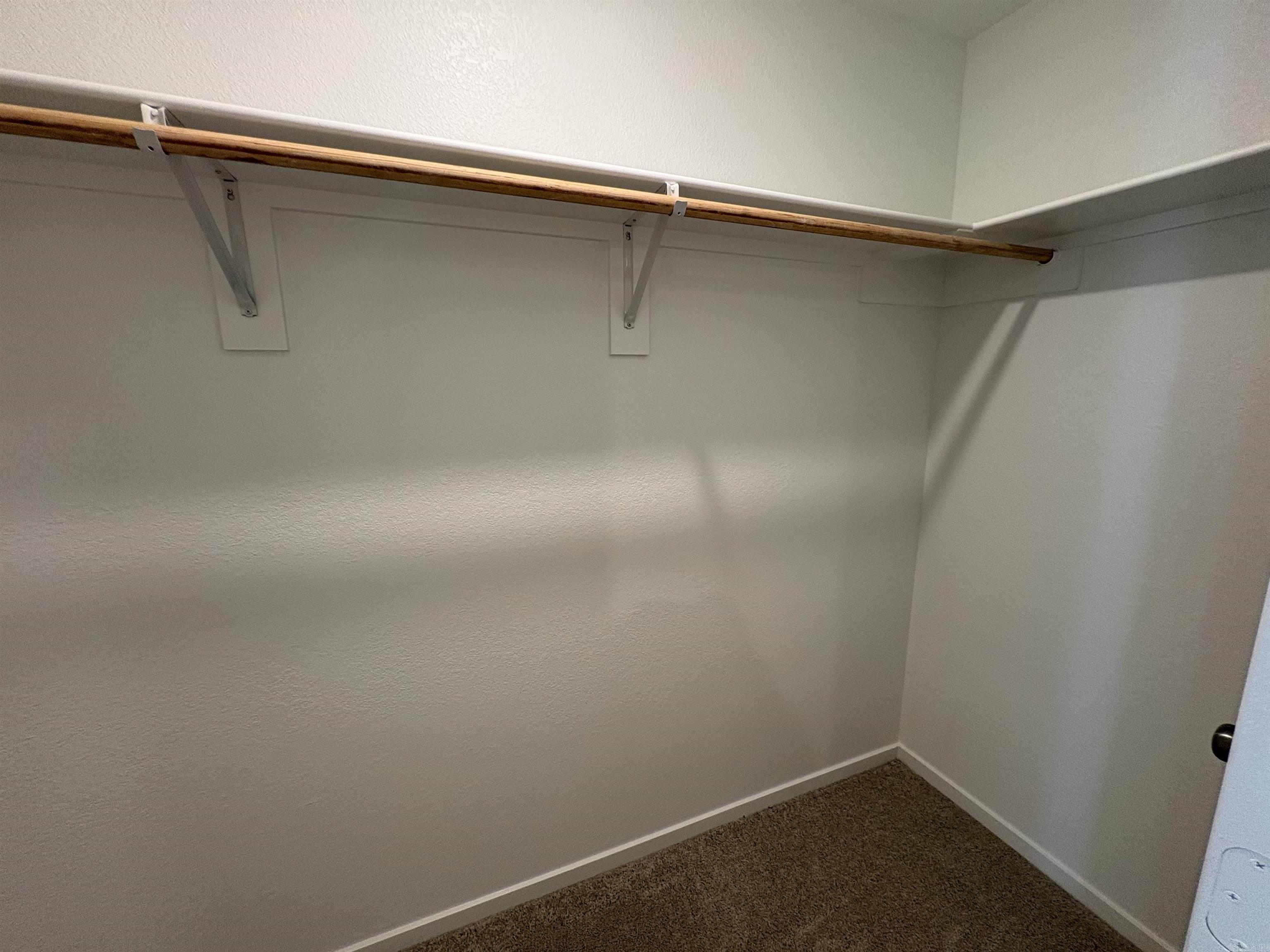 15168 Thompson Branch Trail Property Photo 7