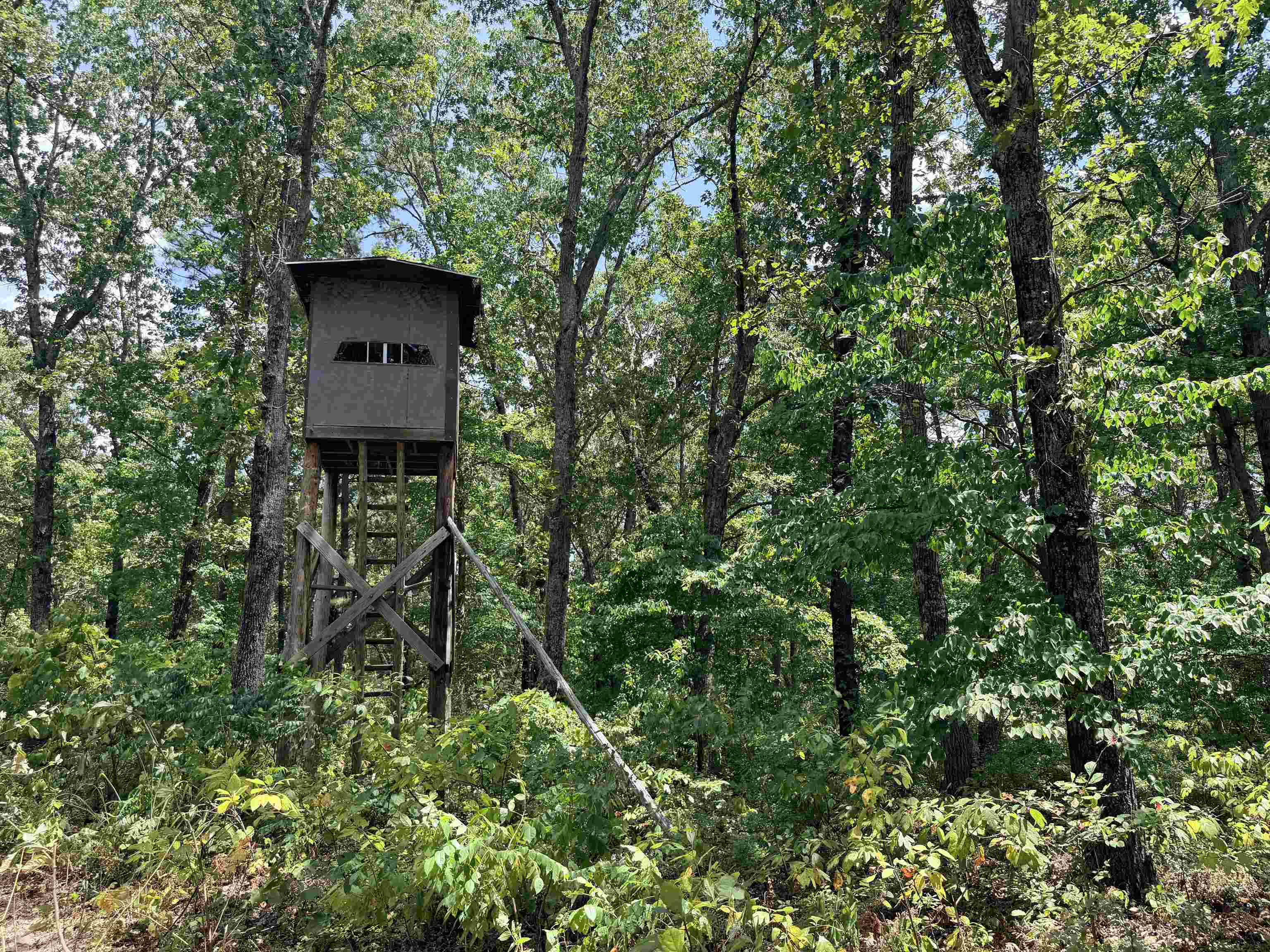 400 Hidden Creek Property Photo 2