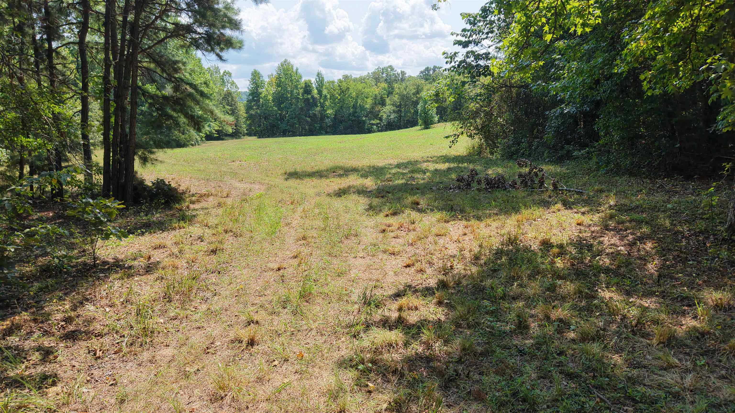 400 Hidden Creek Property Photo 3