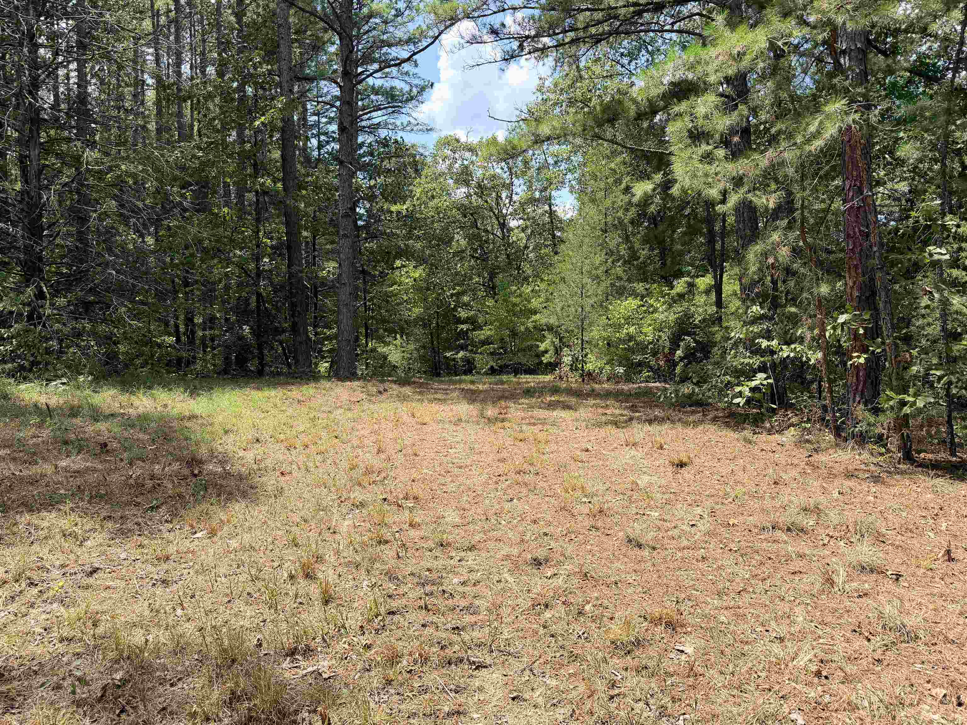 400 Hidden Creek Property Photo 5