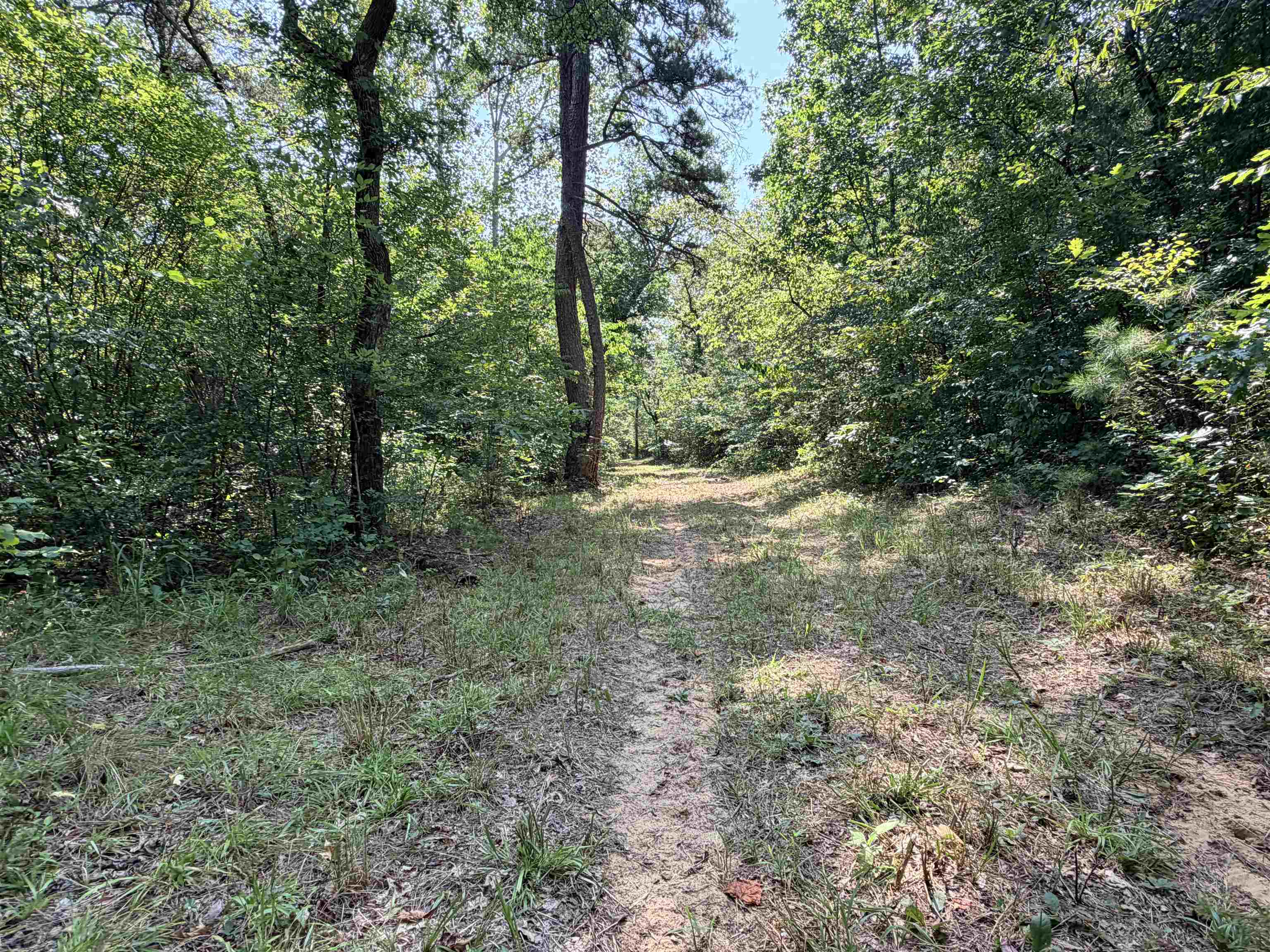 400 Hidden Creek Property Photo 6