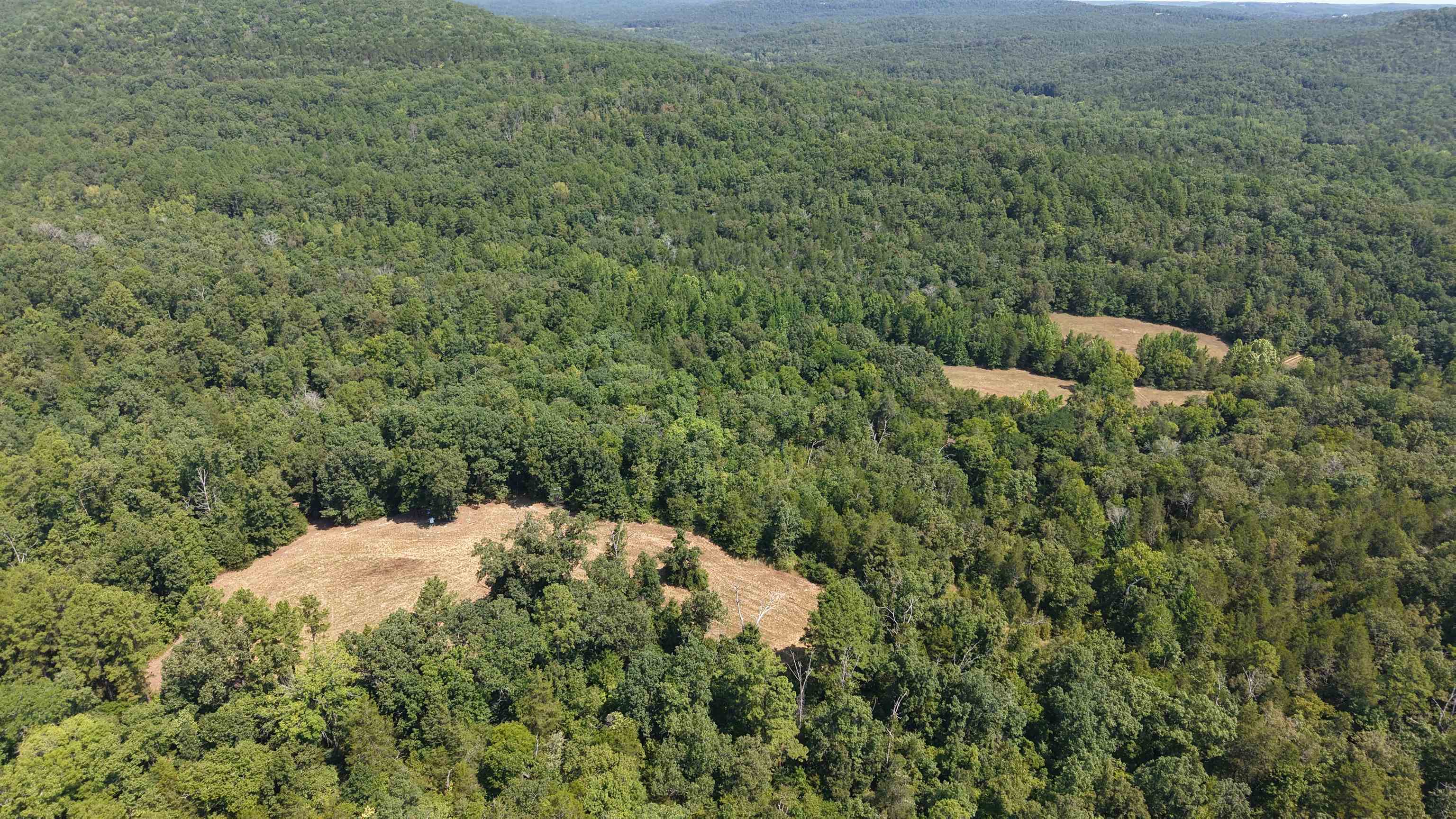 400 Hidden Creek Property Photo 9