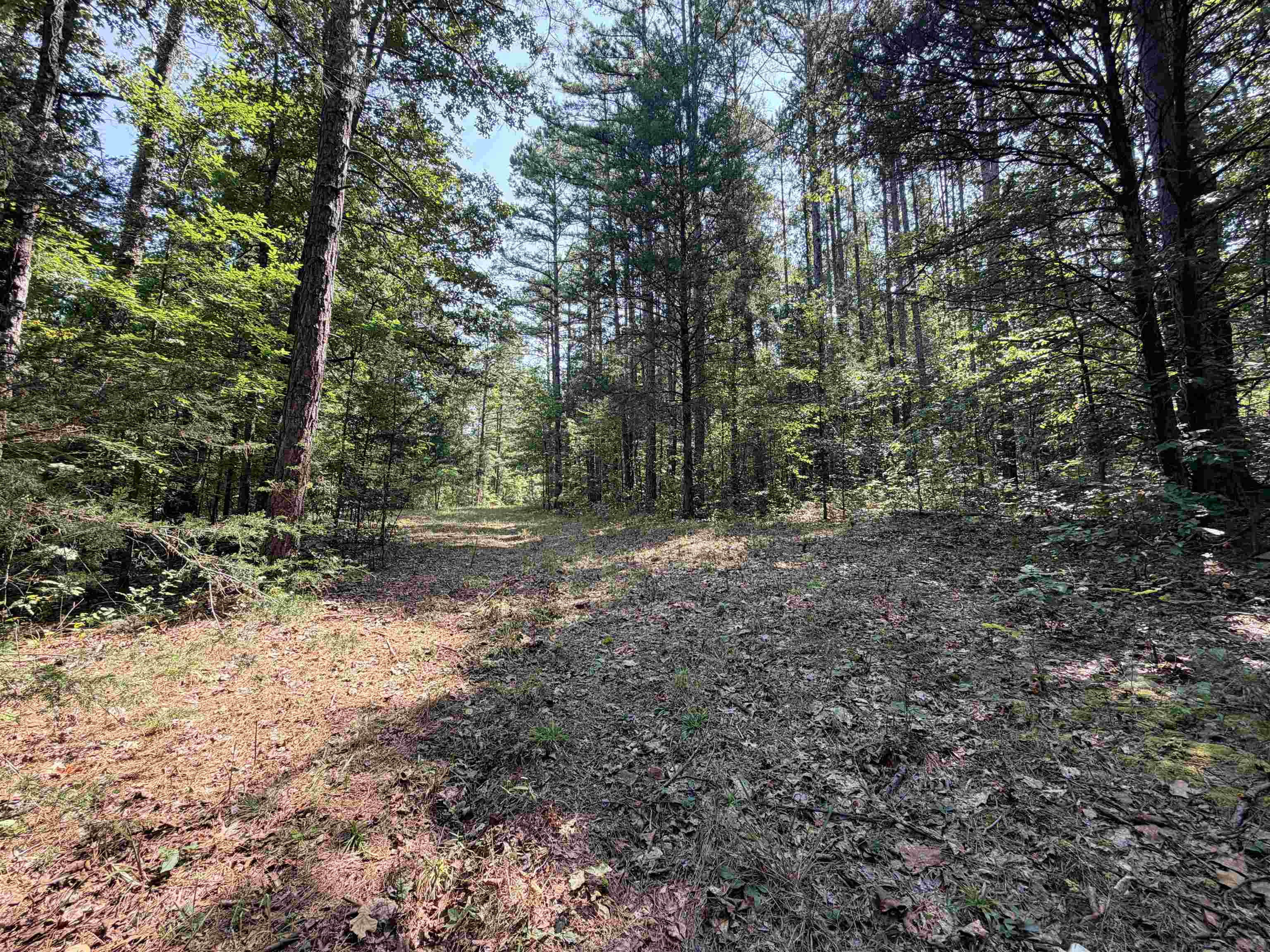 400 Hidden Creek Property Photo 10