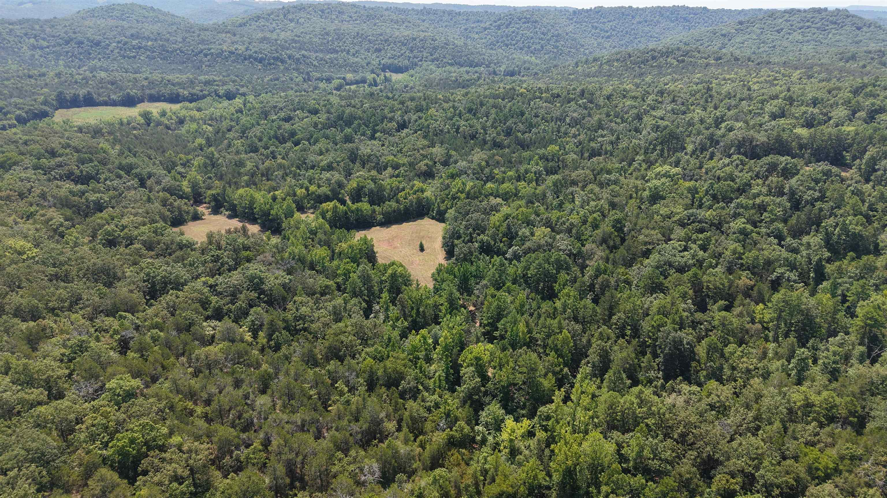 400 Hidden Creek Property Photo 11