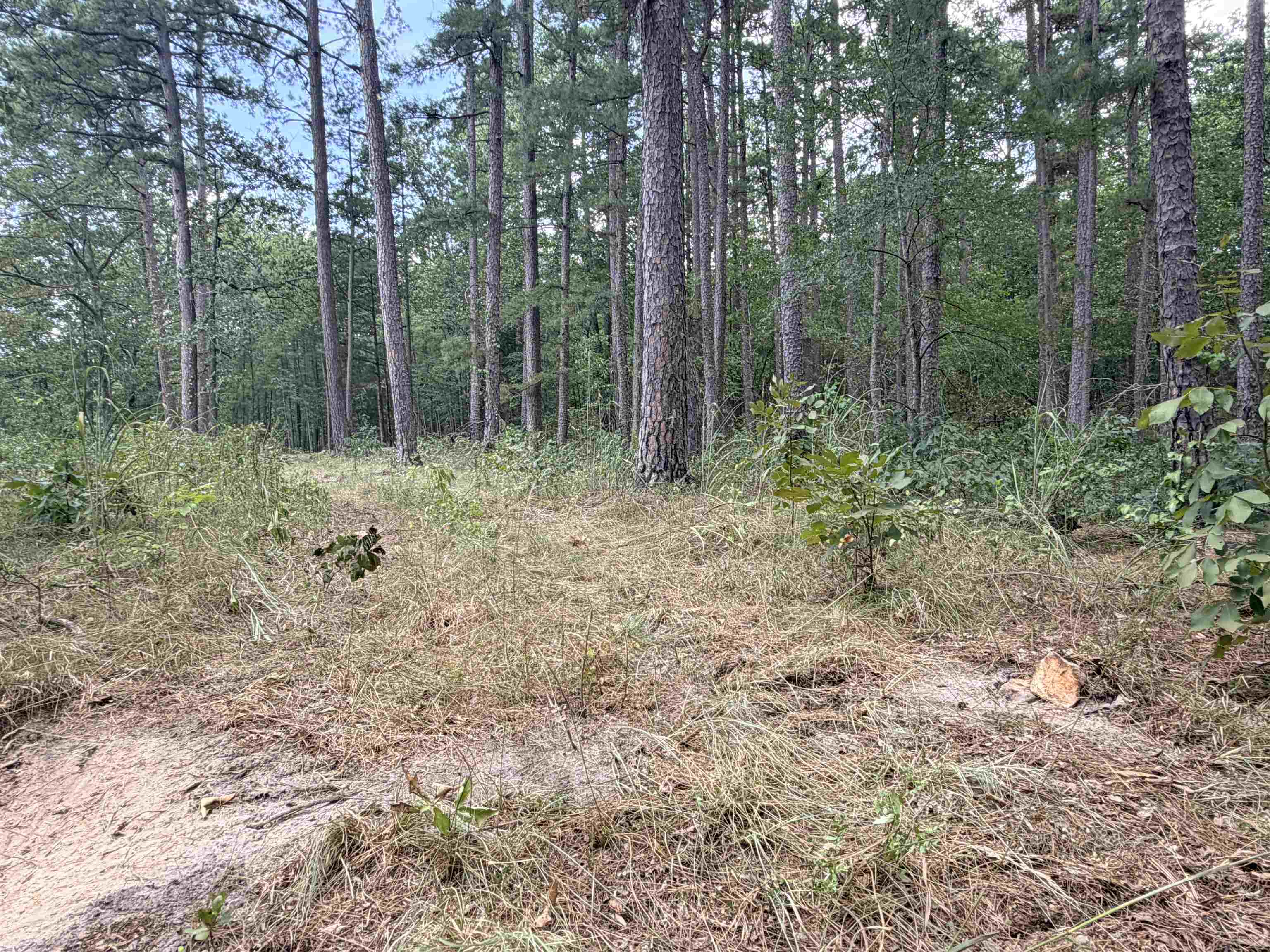 400 Hidden Creek Property Photo 12