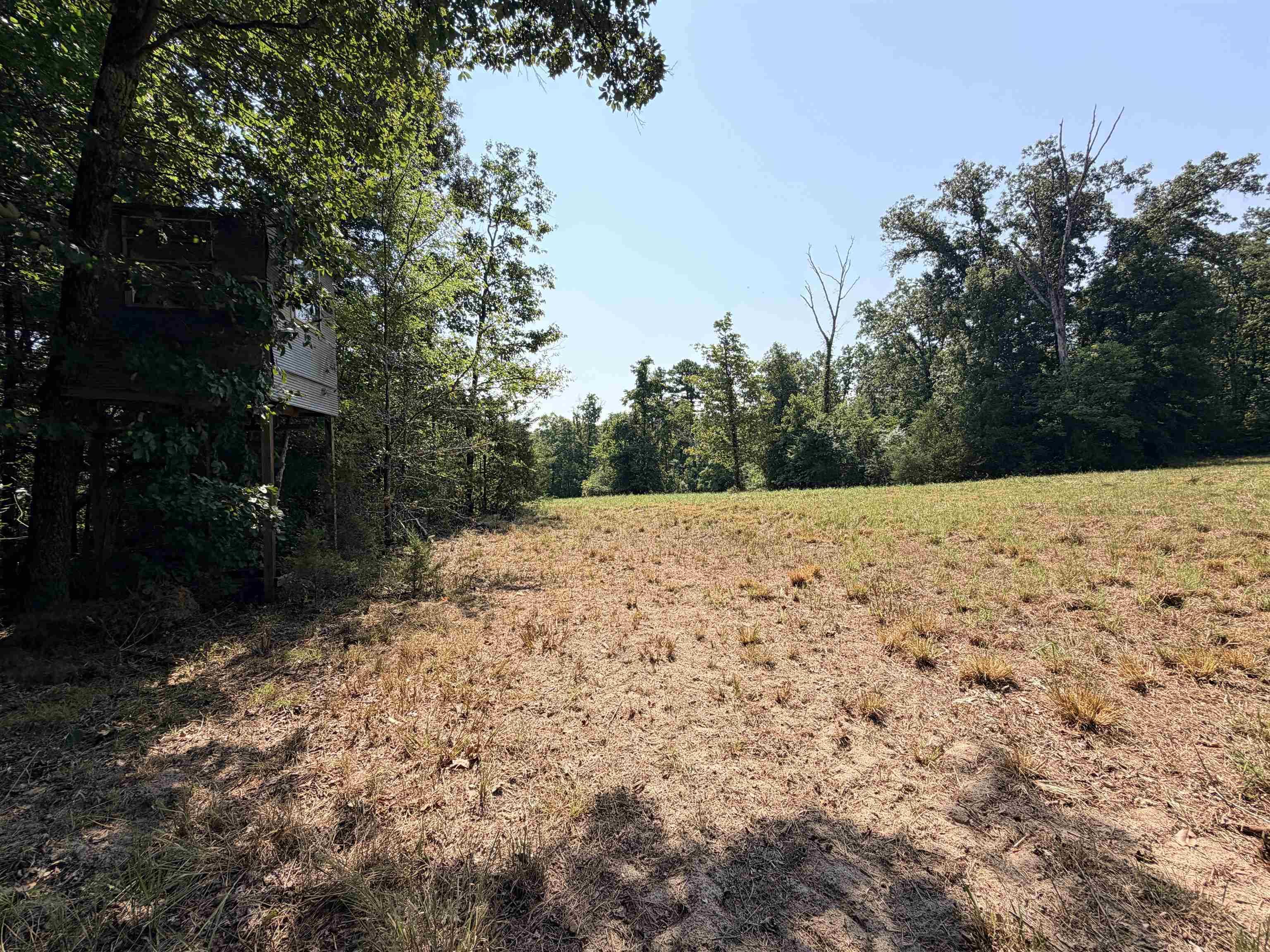 400 Hidden Creek Property Photo 13