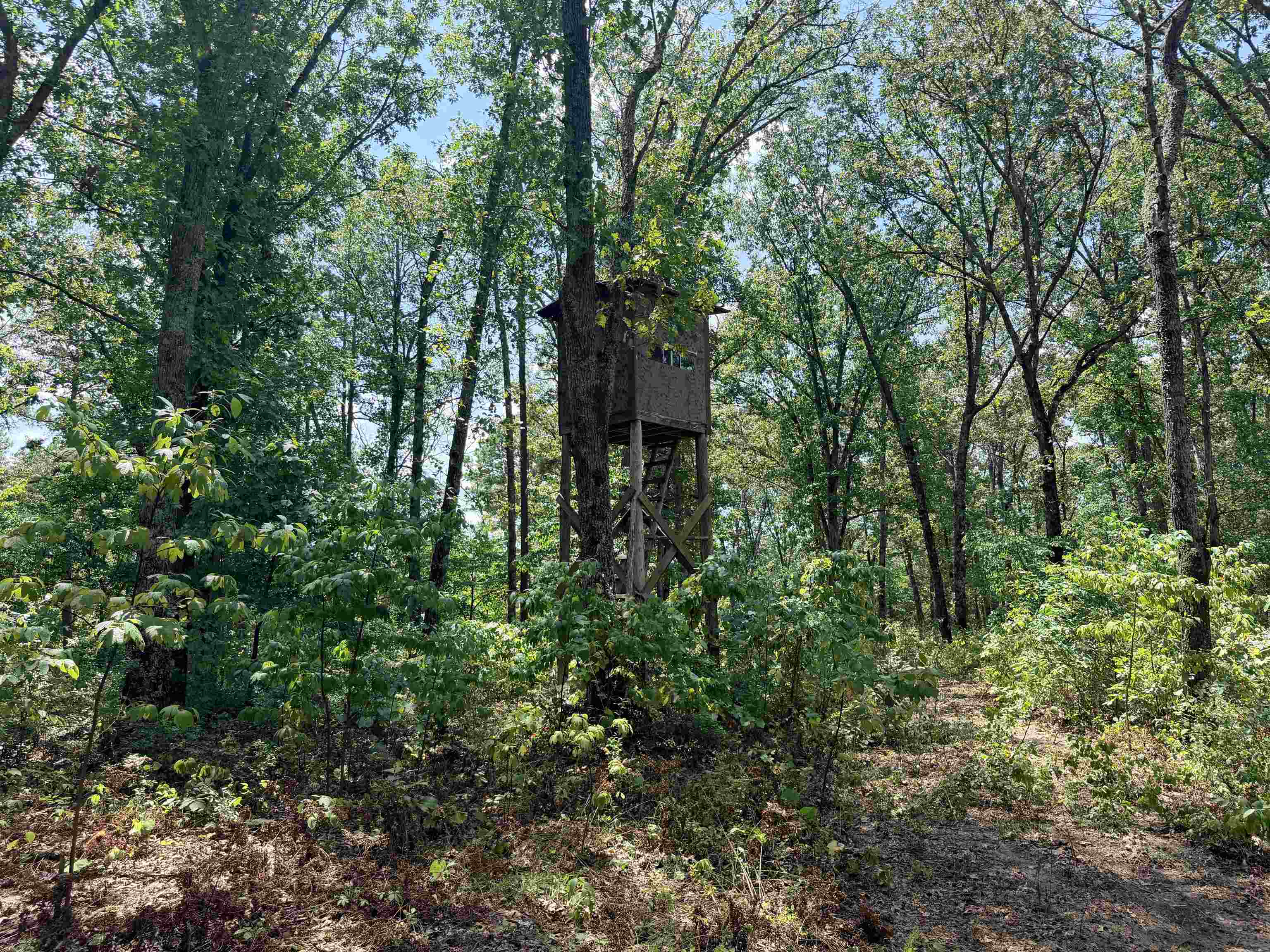 400 Hidden Creek Property Photo 15