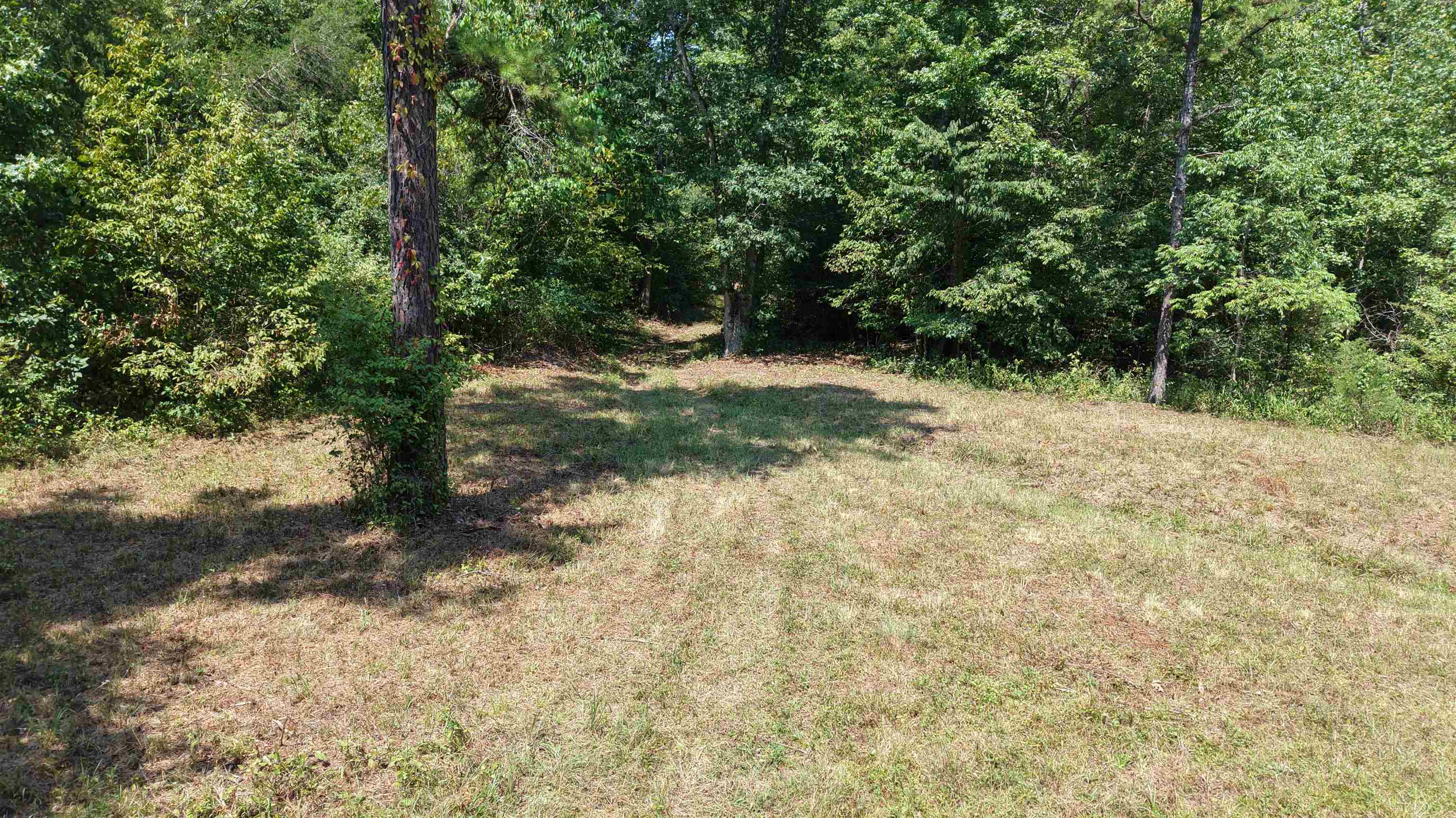 400 Hidden Creek Property Photo 17