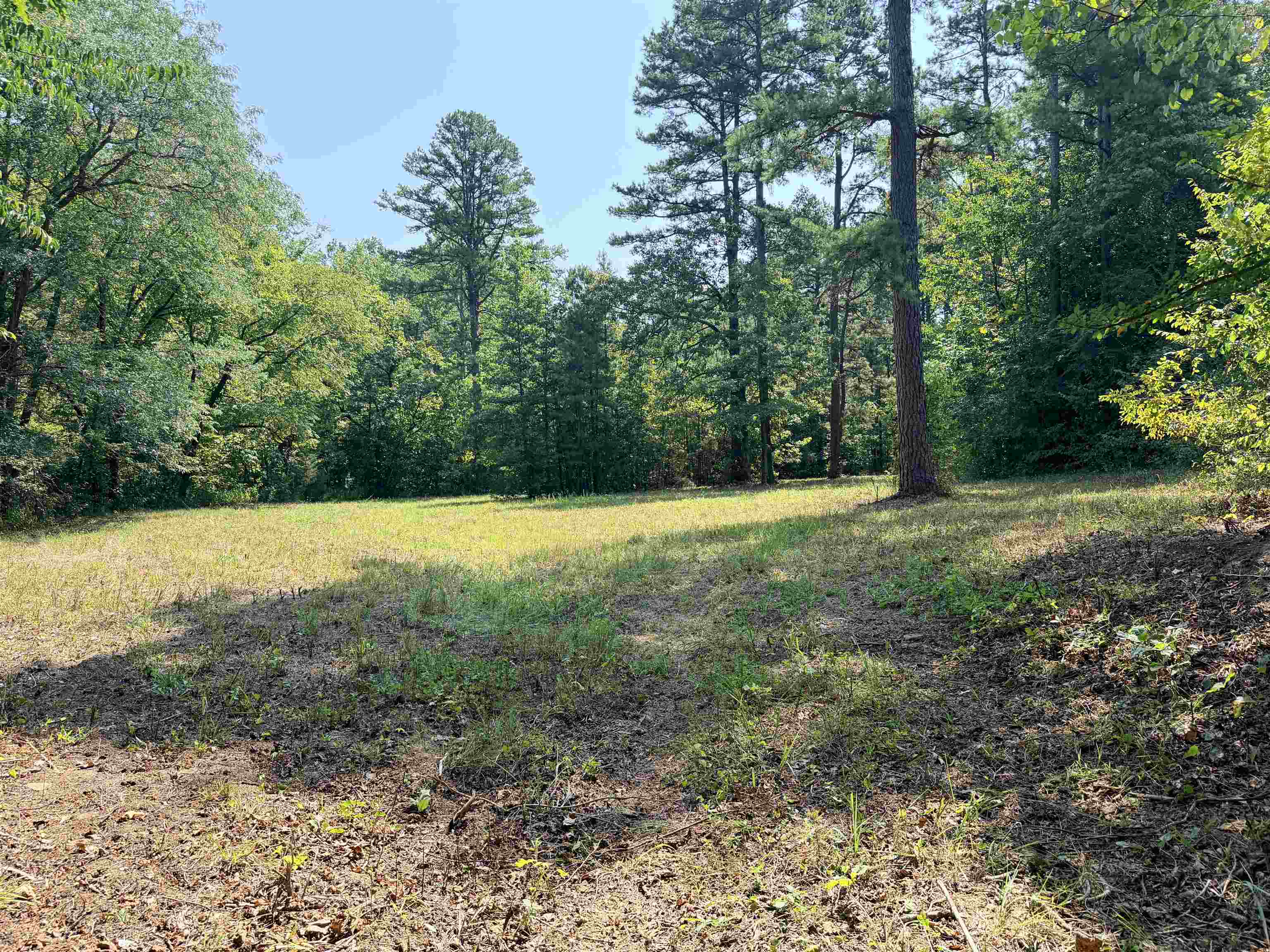 400 Hidden Creek Property Photo 19