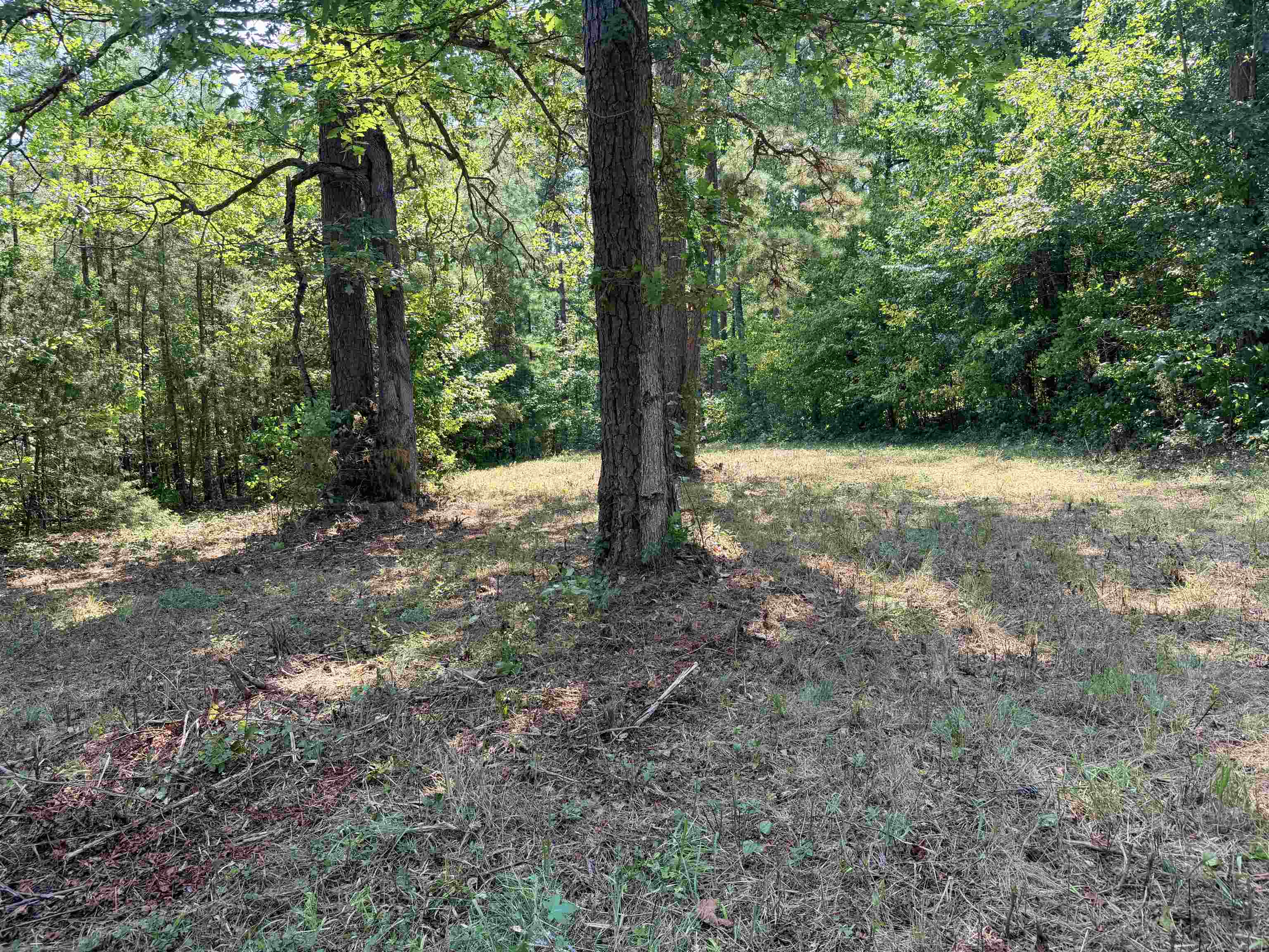 400 Hidden Creek Property Photo 21