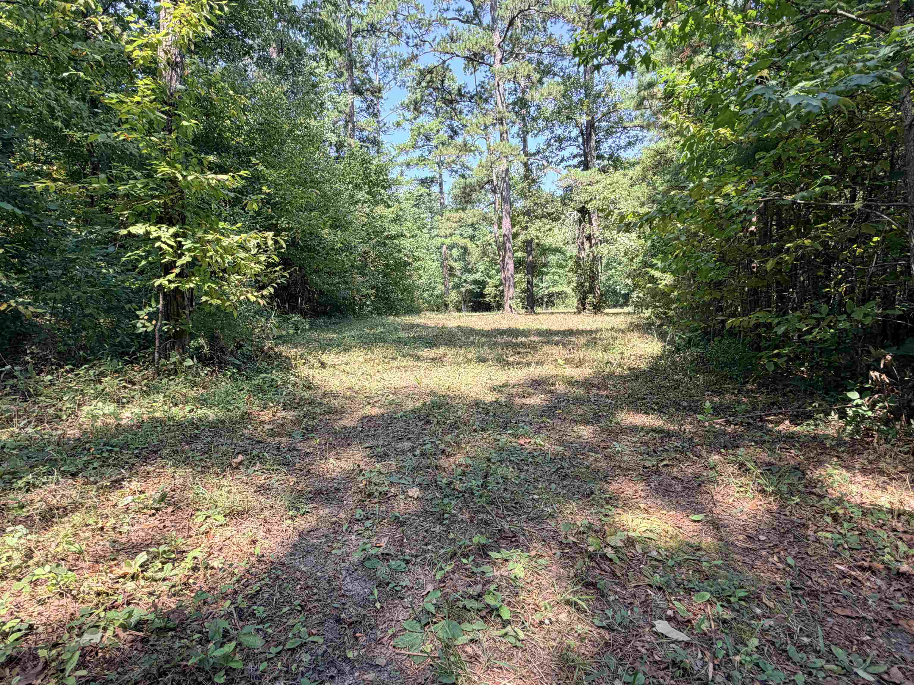 400 Hidden Creek Property Photo 23