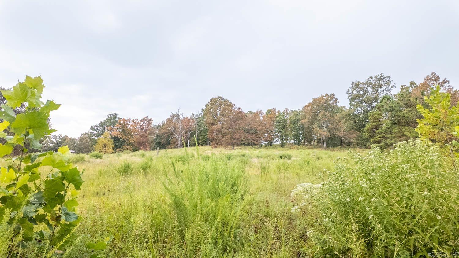 517 Sawmill Road Property Photo 3