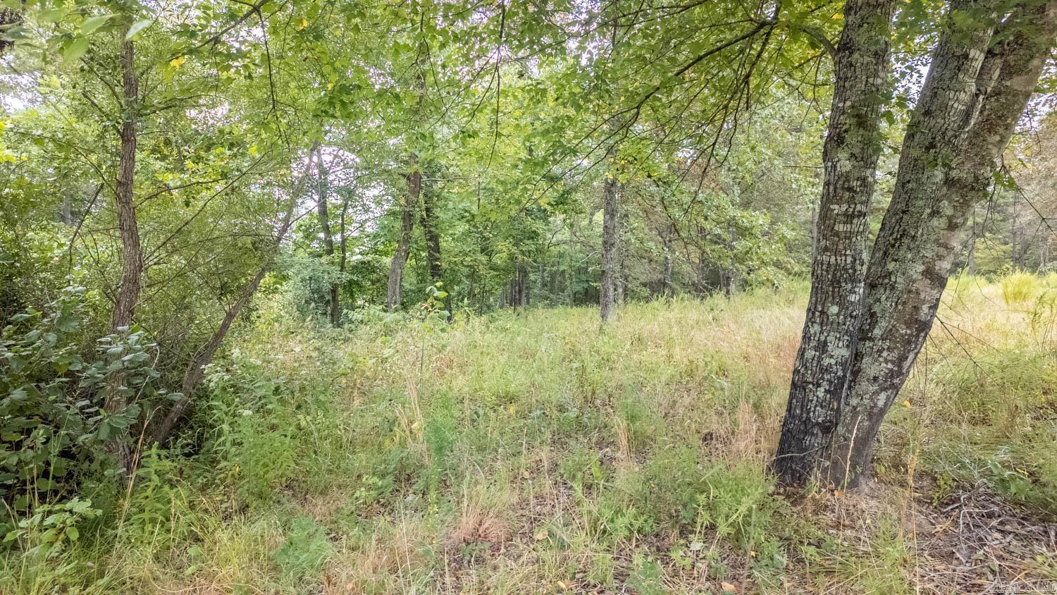 517 Sawmill Road Property Photo 7