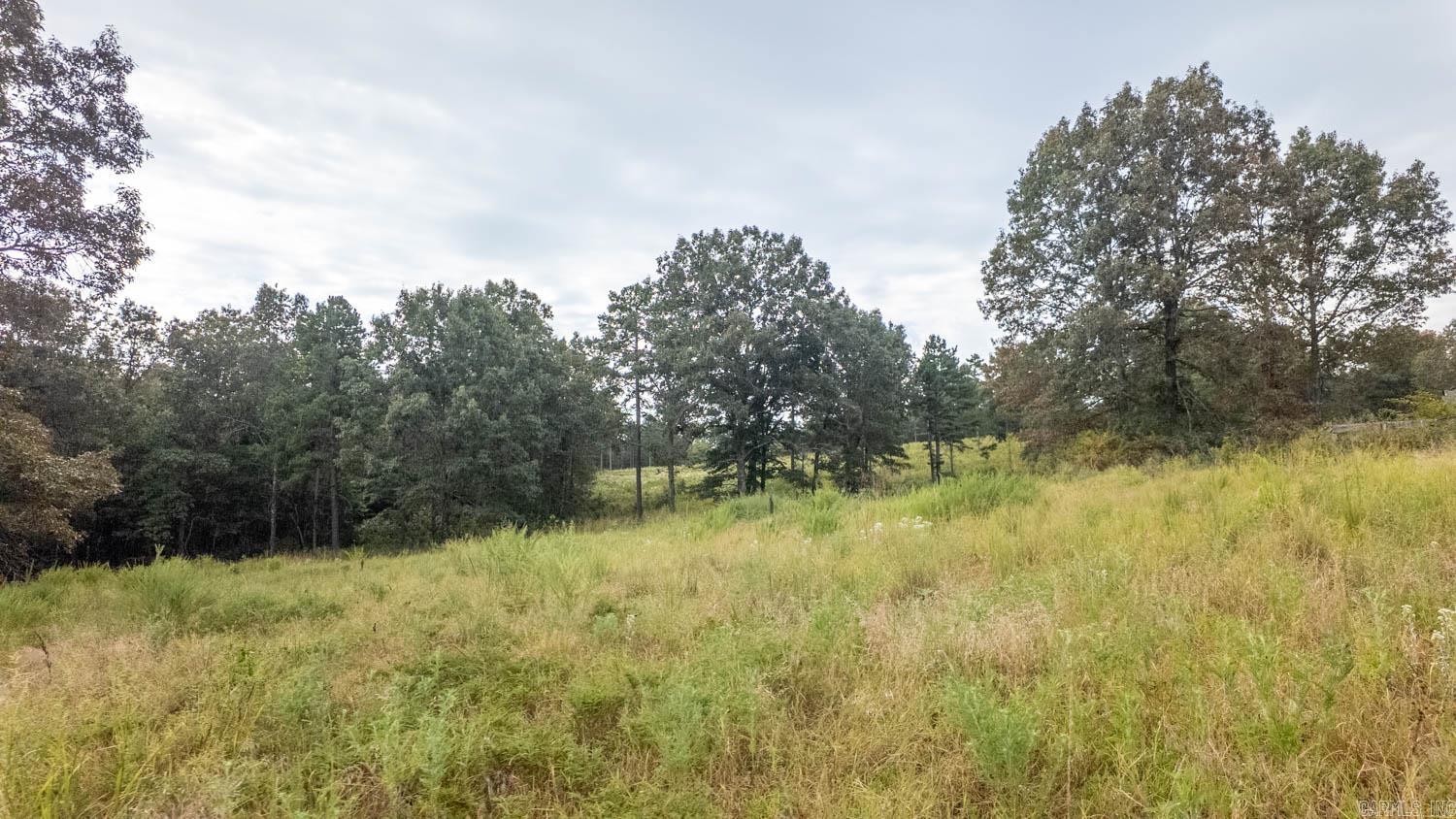 517 Sawmill Road Property Photo 8
