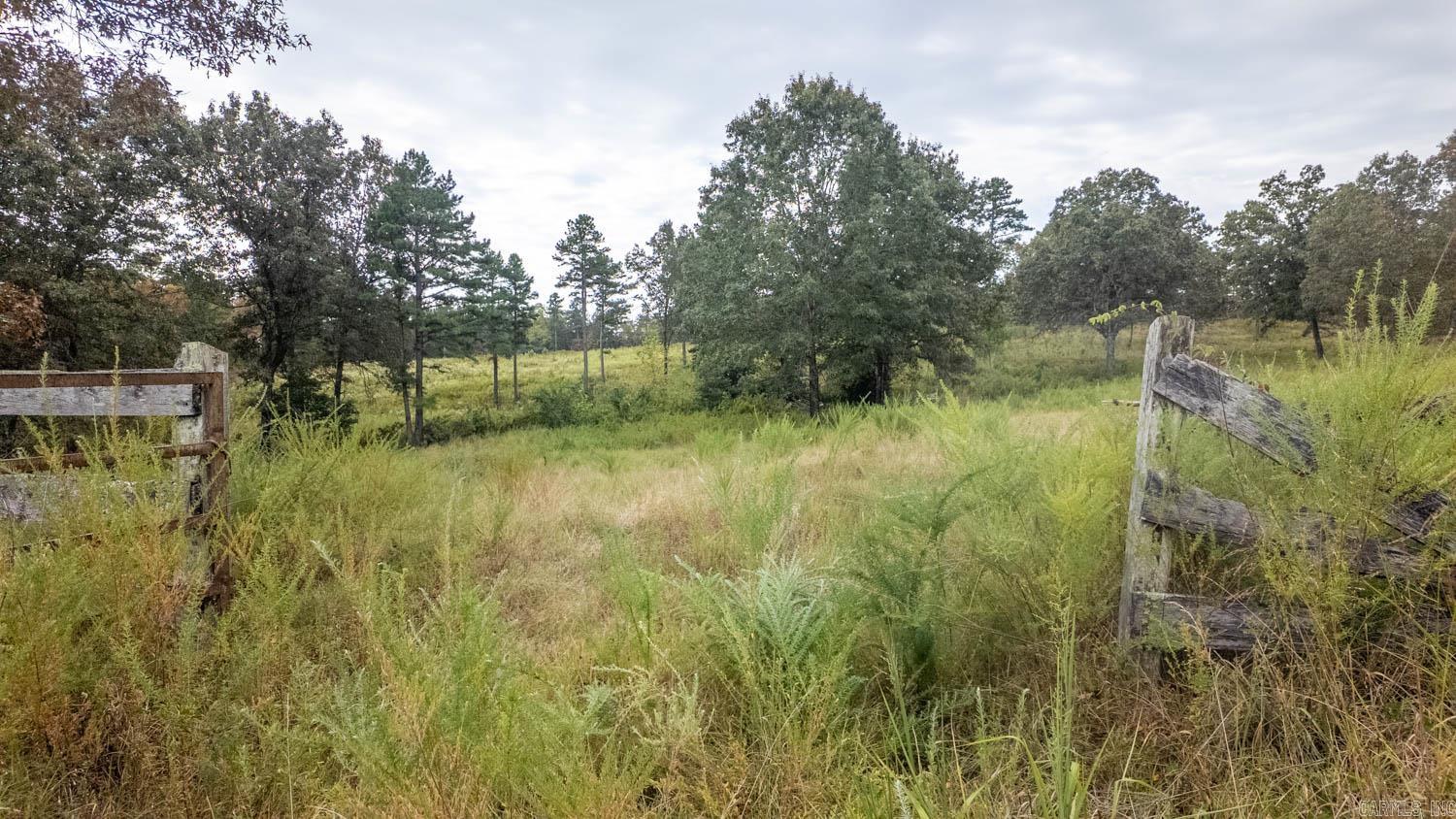 517 Sawmill Road Property Photo 9