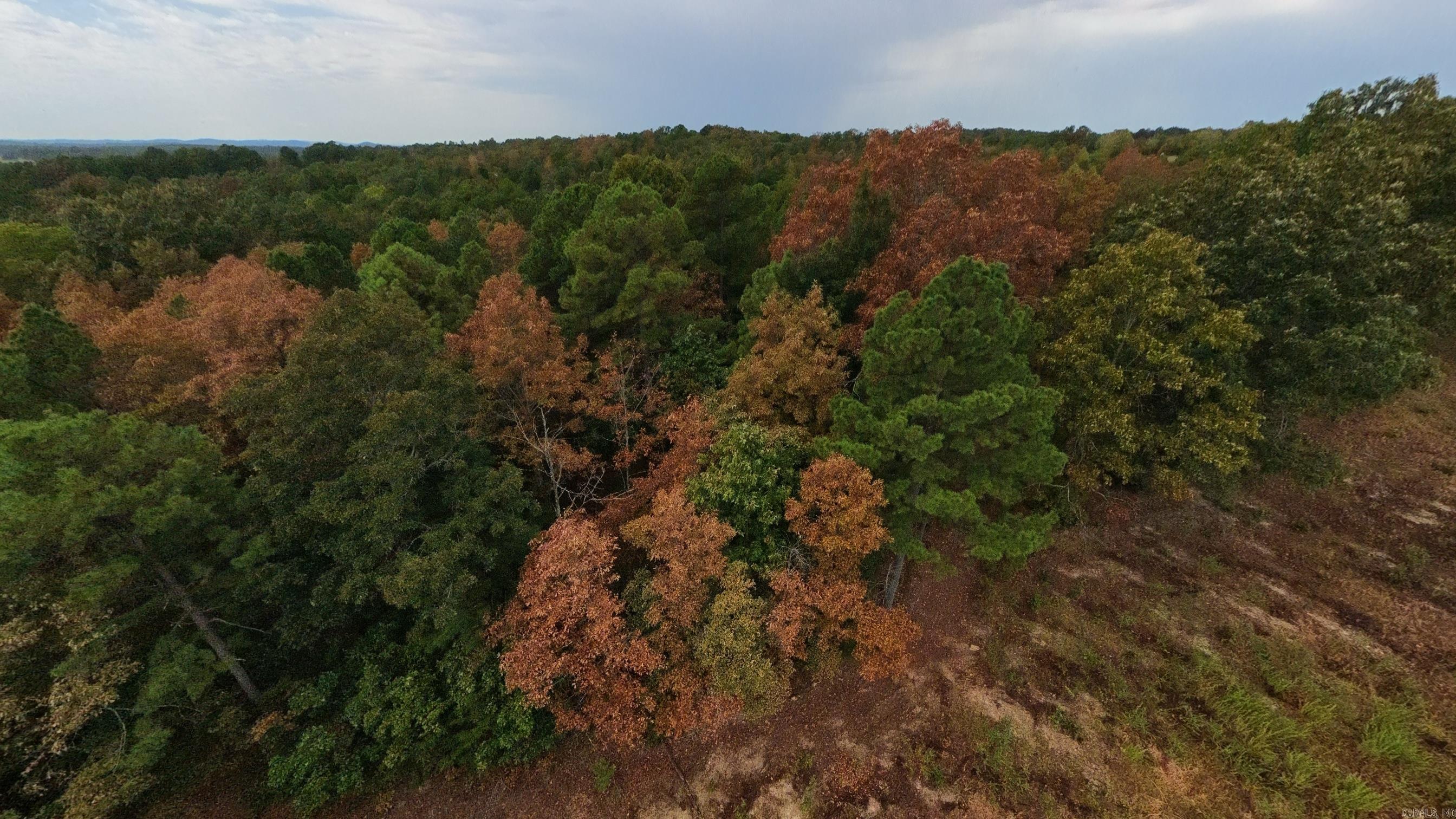 517 Sawmill Road Property Photo 18