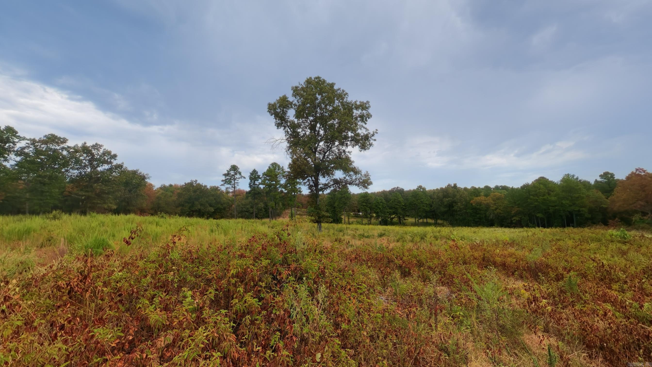 517 Sawmill Road Property Photo 19