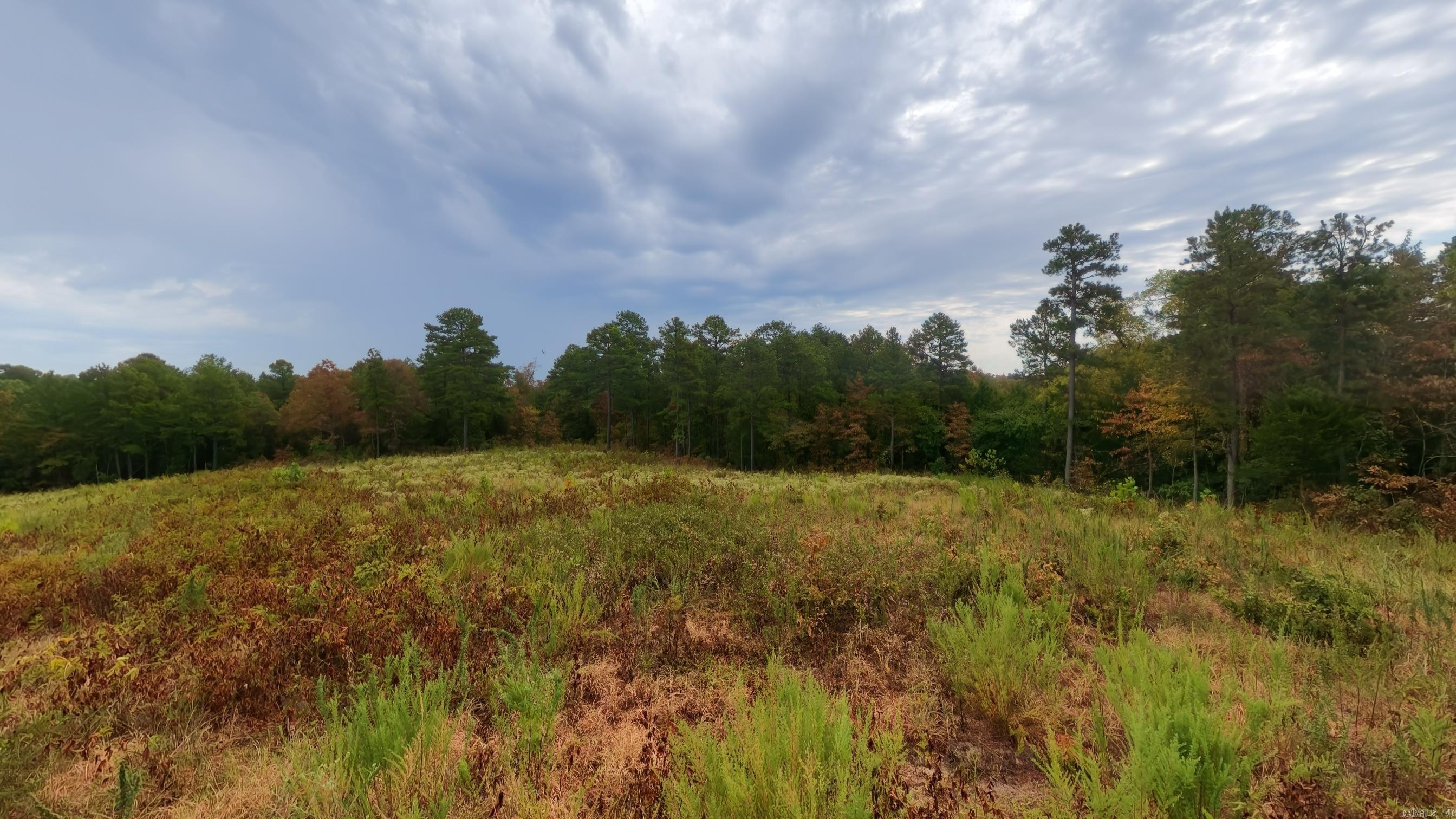 517 Sawmill Road Property Photo 20