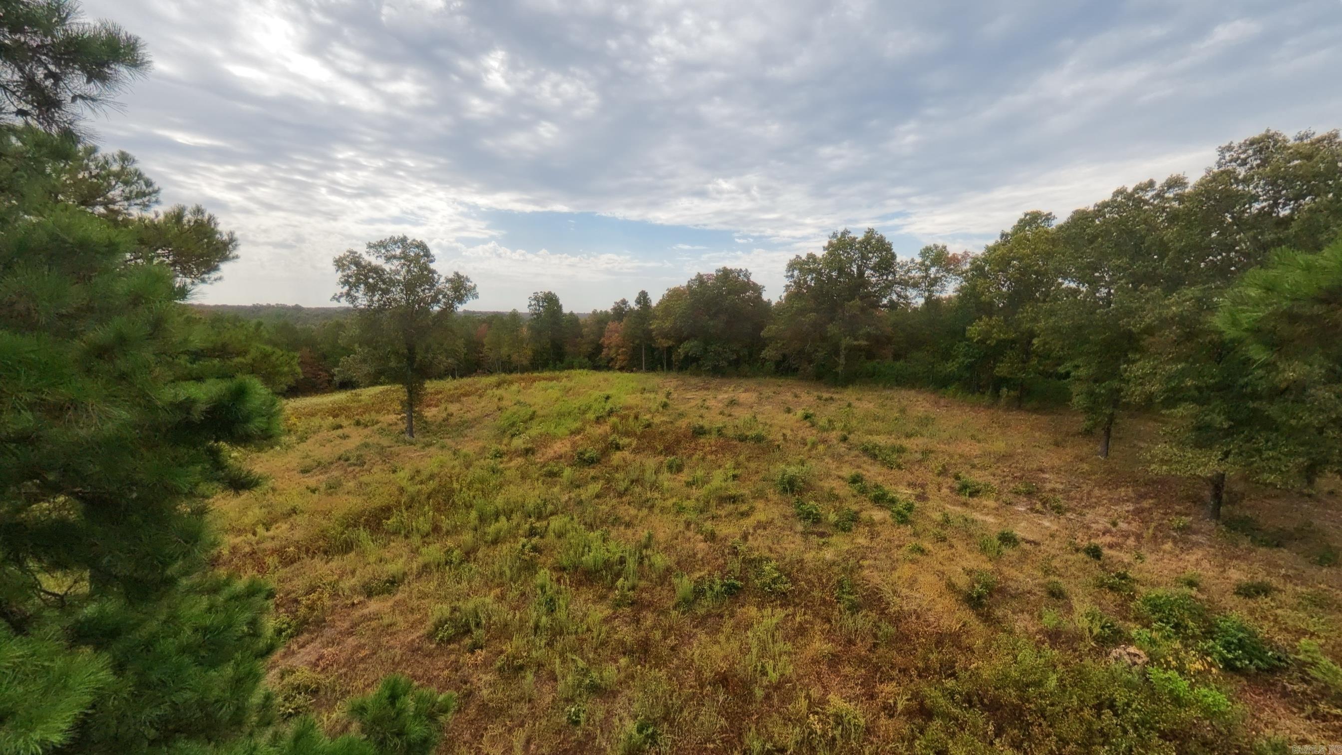 517 Sawmill Road Property Photo 24