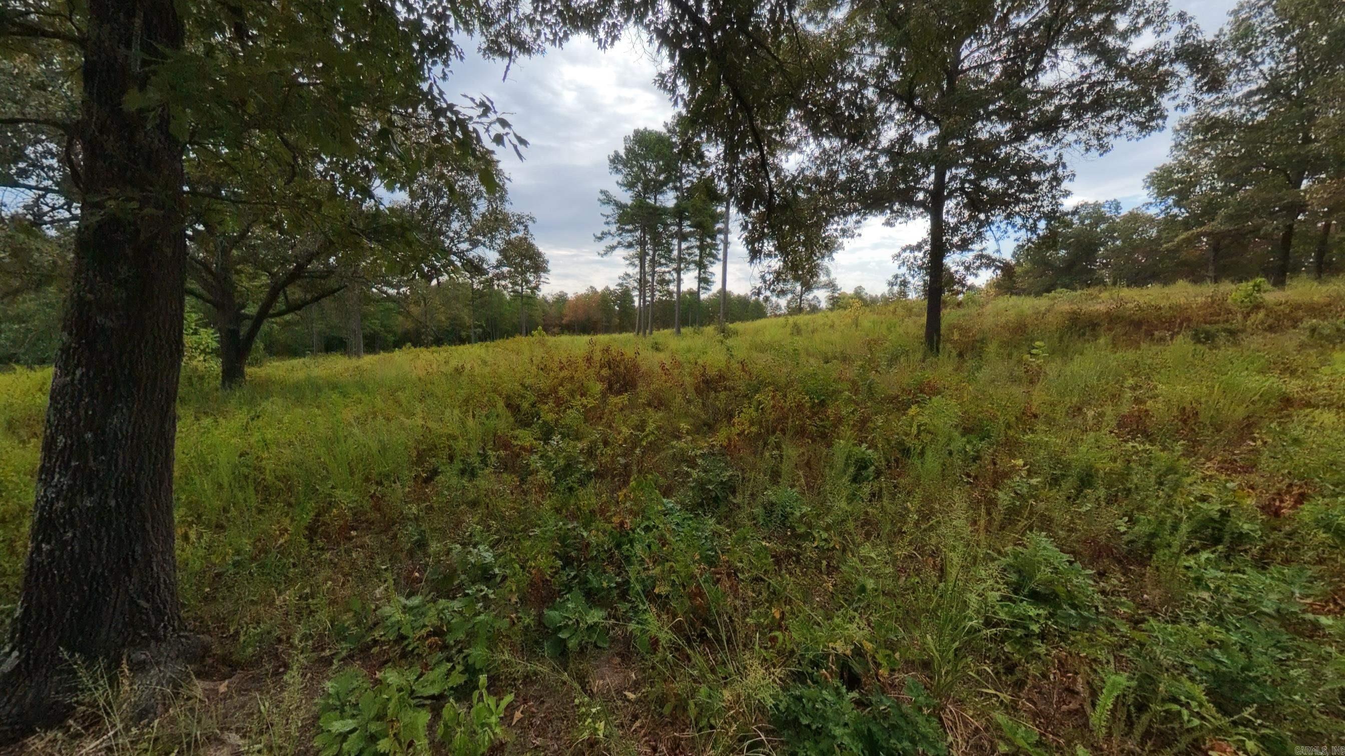 517 Sawmill Road Property Photo 26
