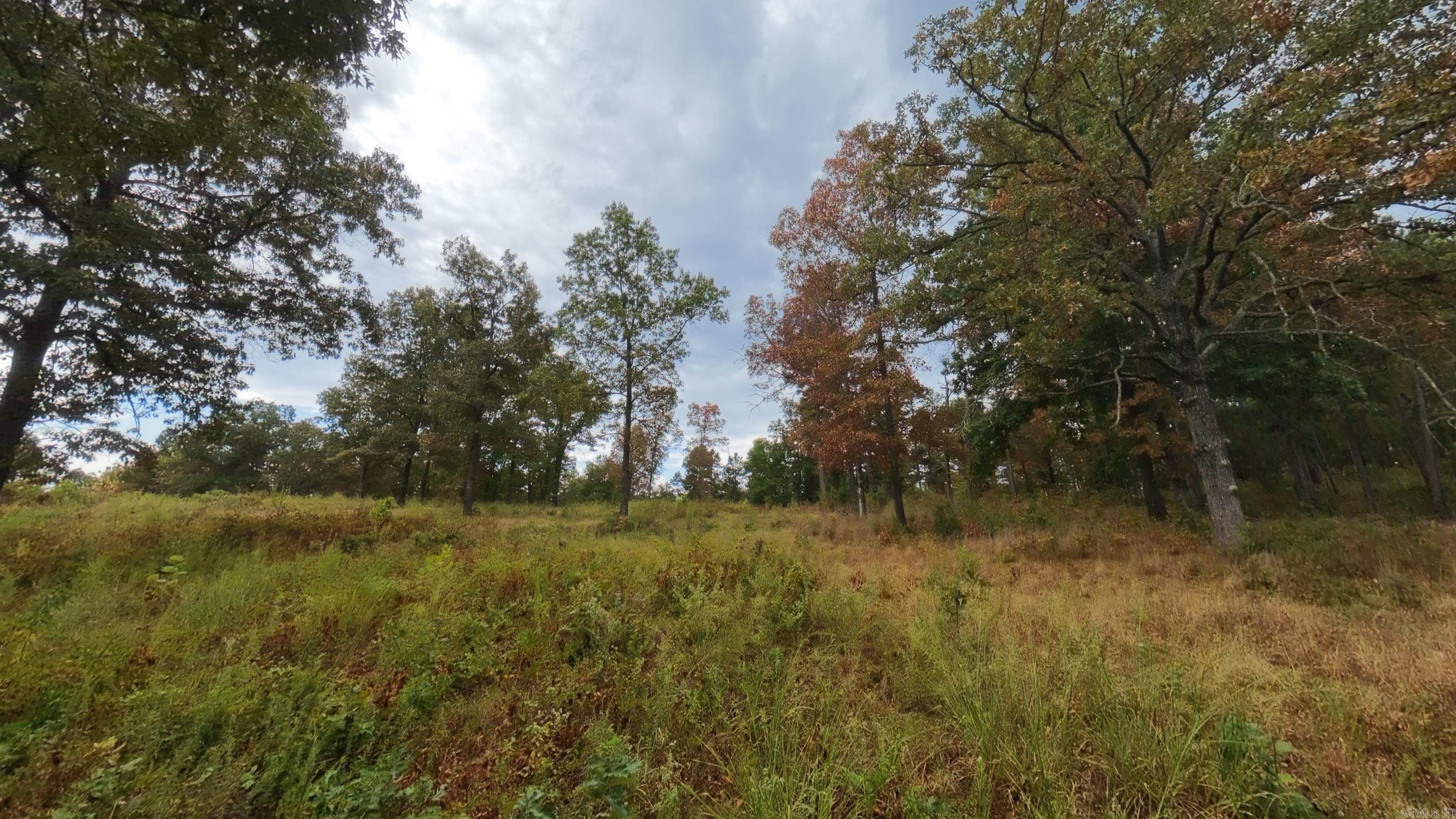 517 Sawmill Road Property Photo 27