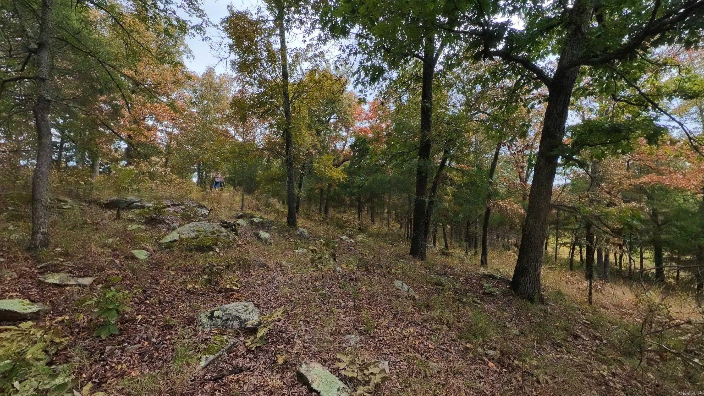 517 Sawmill Road Property Photo 28