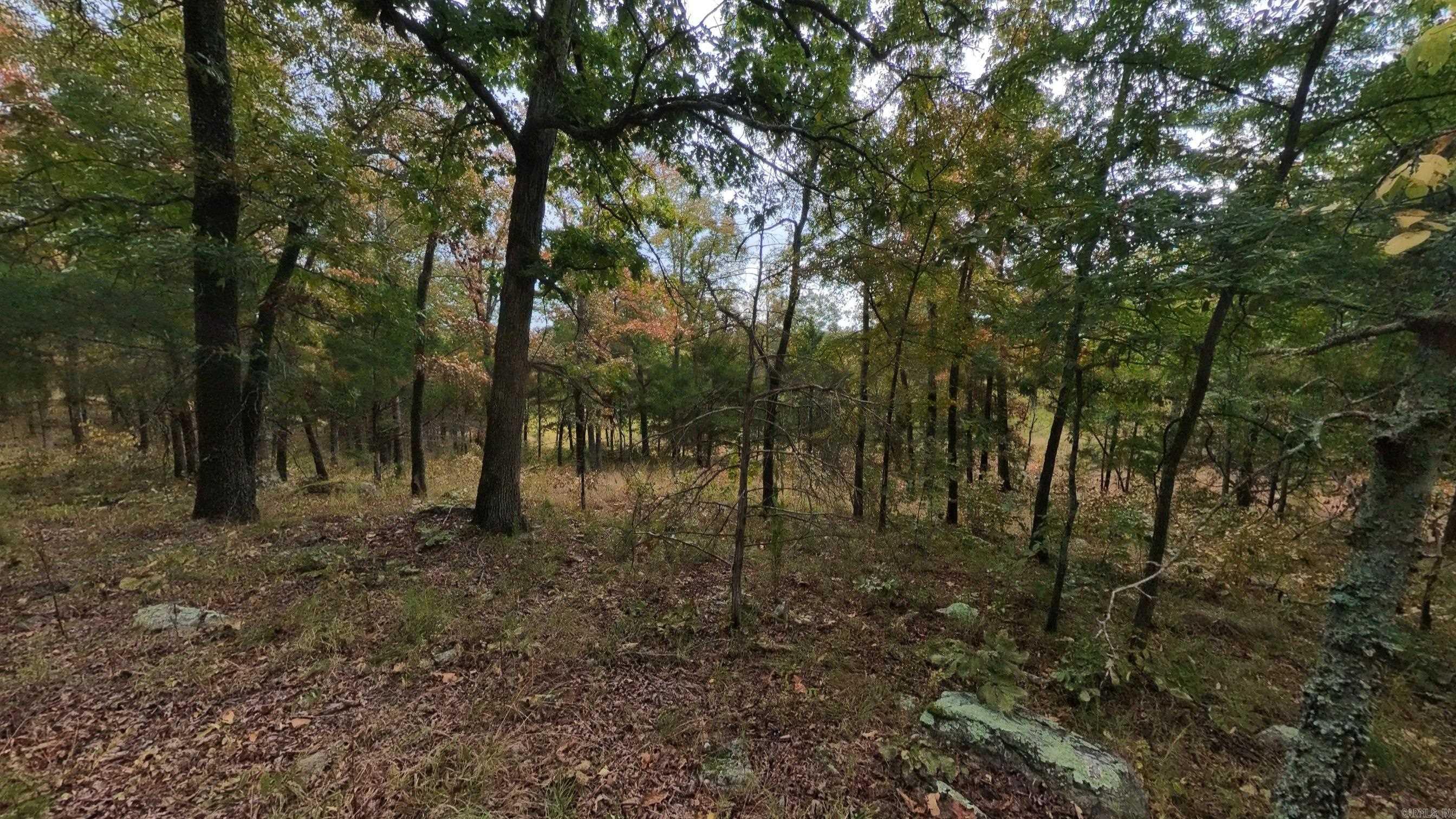 517 Sawmill Road Property Photo 29