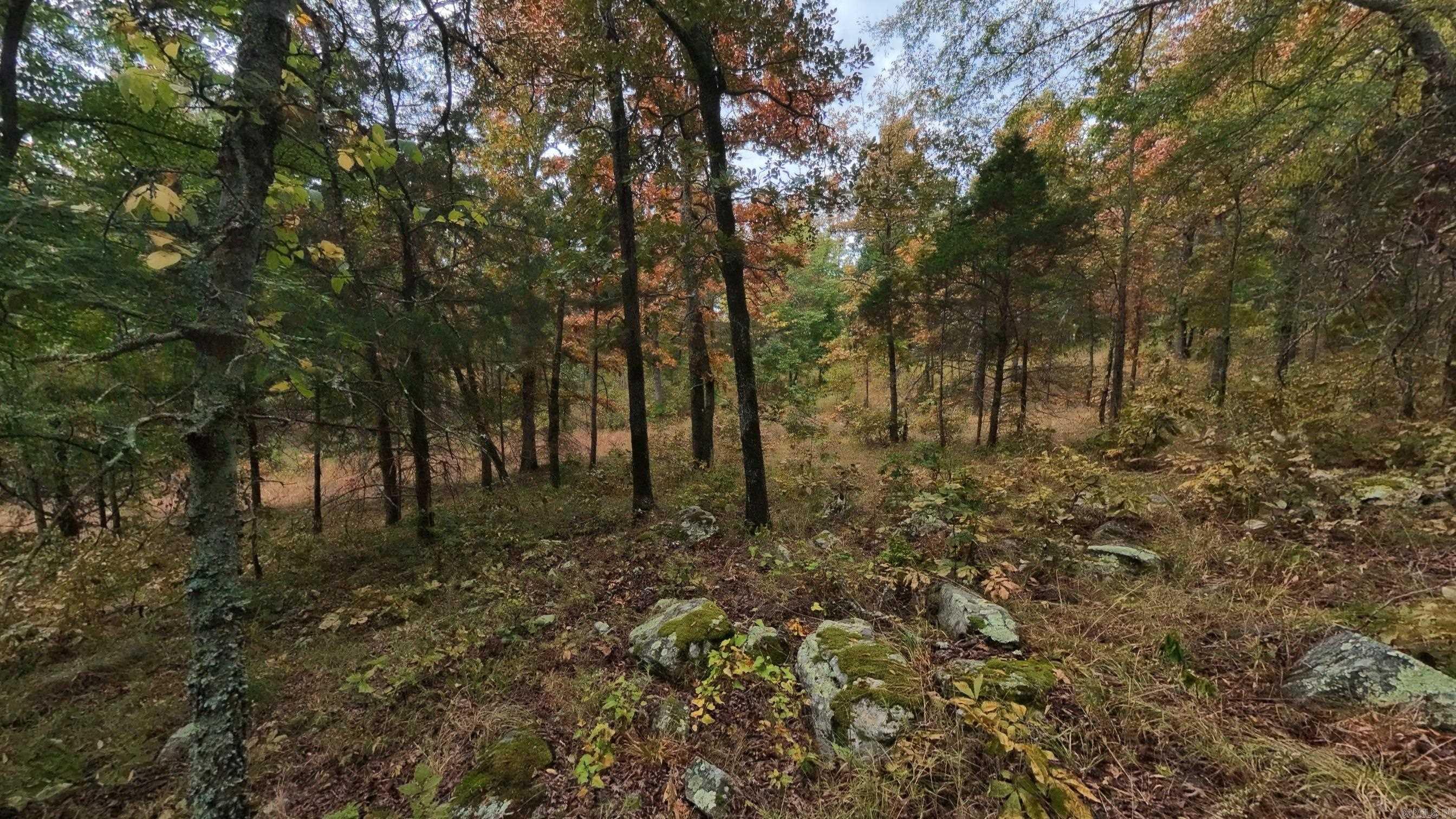 517 Sawmill Road Property Photo 30