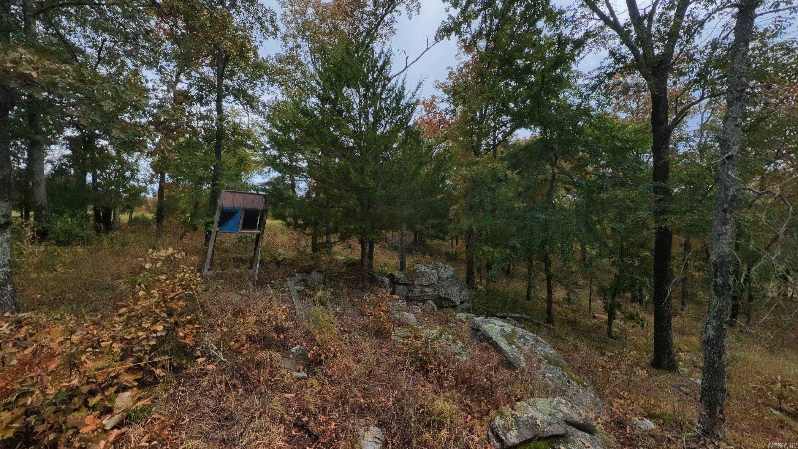 517 Sawmill Road Property Photo 31