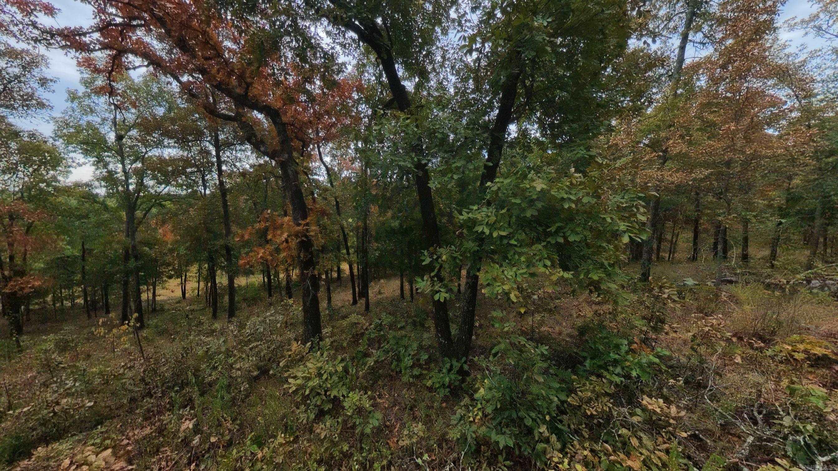 517 Sawmill Road Property Photo 32