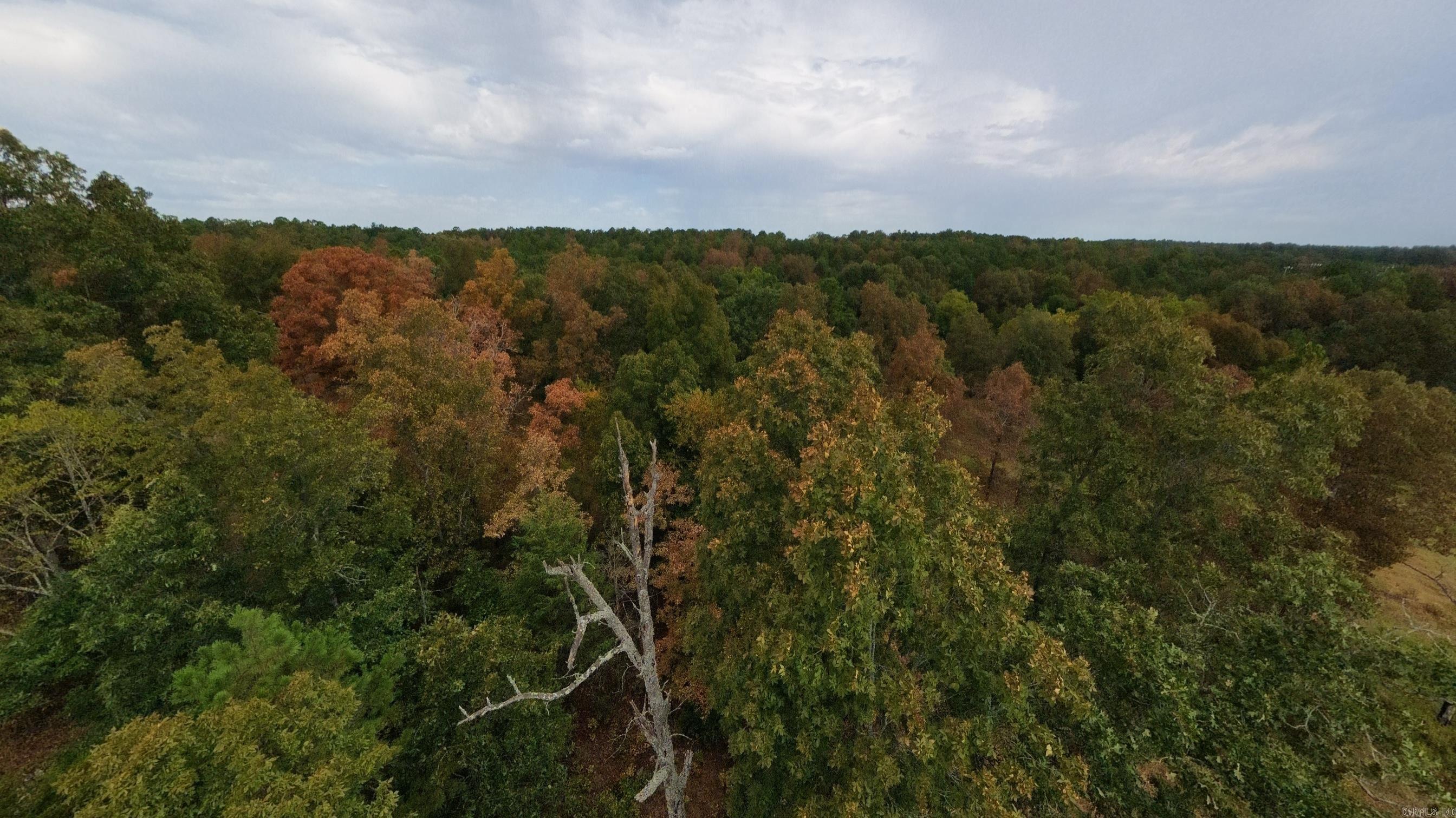 517 Sawmill Road Property Photo 37