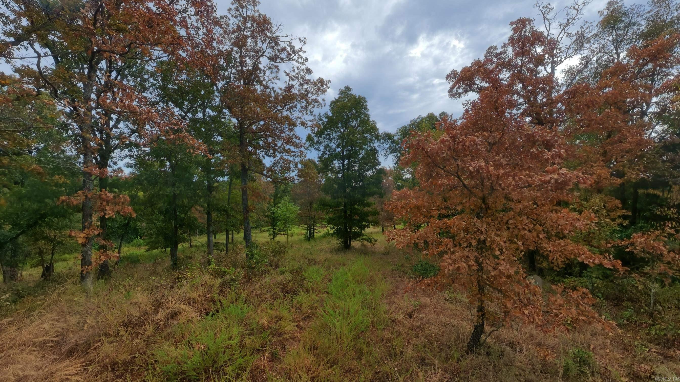 517 Sawmill Road Property Photo 41