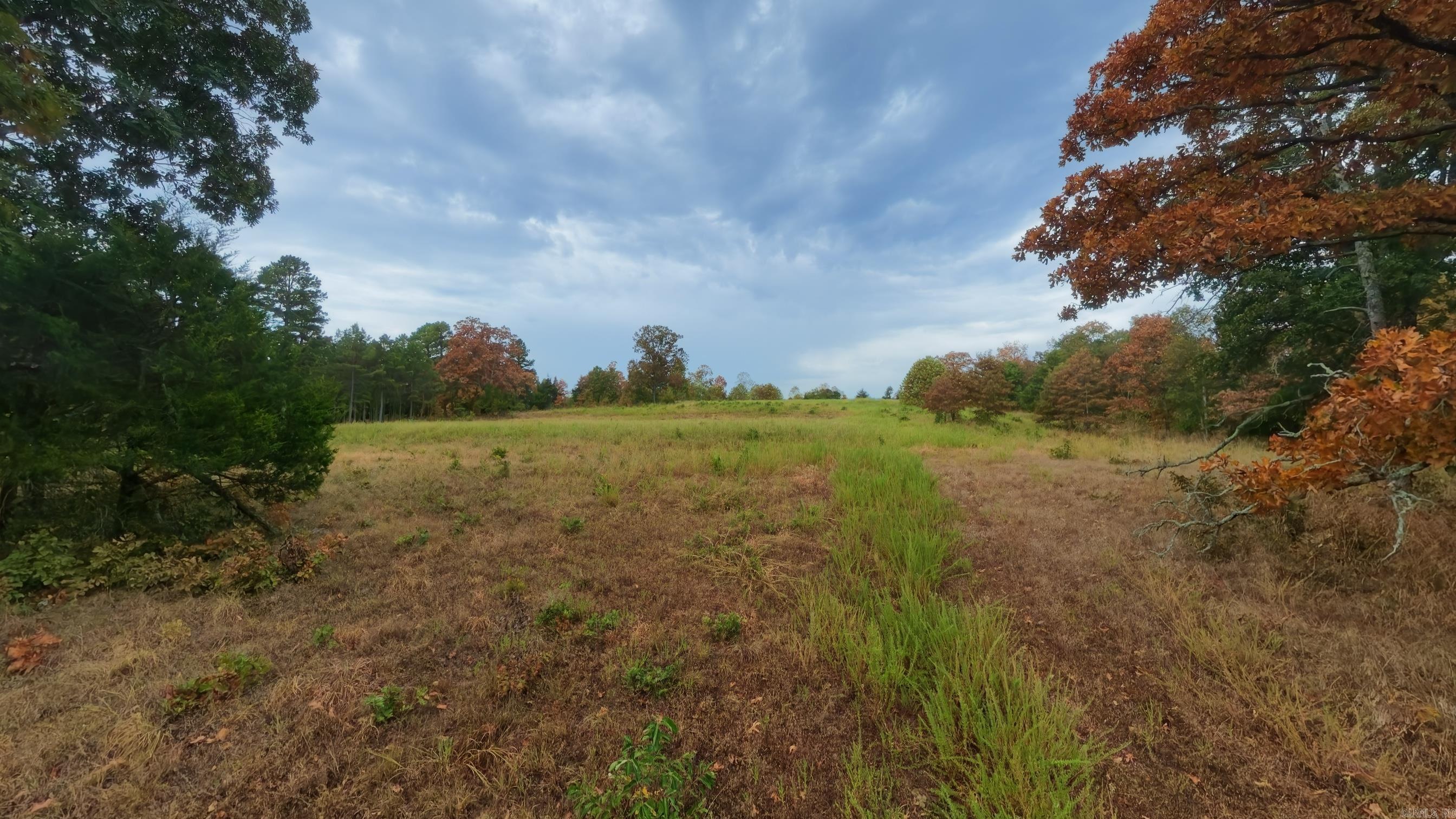 517 Sawmill Road Property Photo 42
