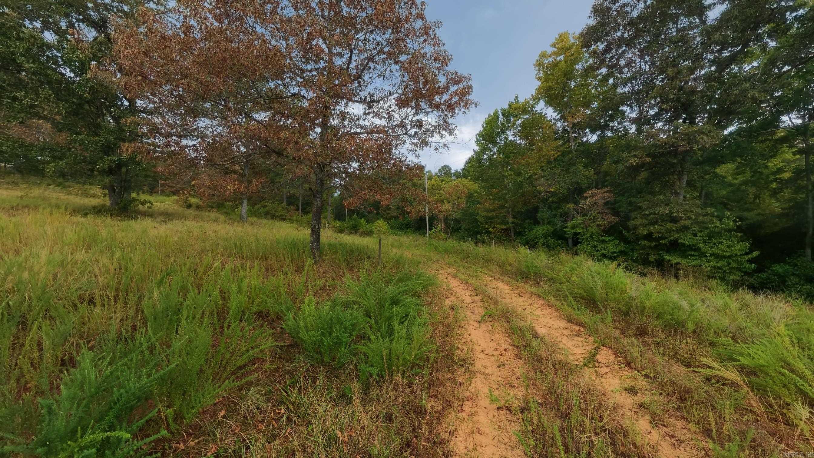 517 Sawmill Road Property Photo 47