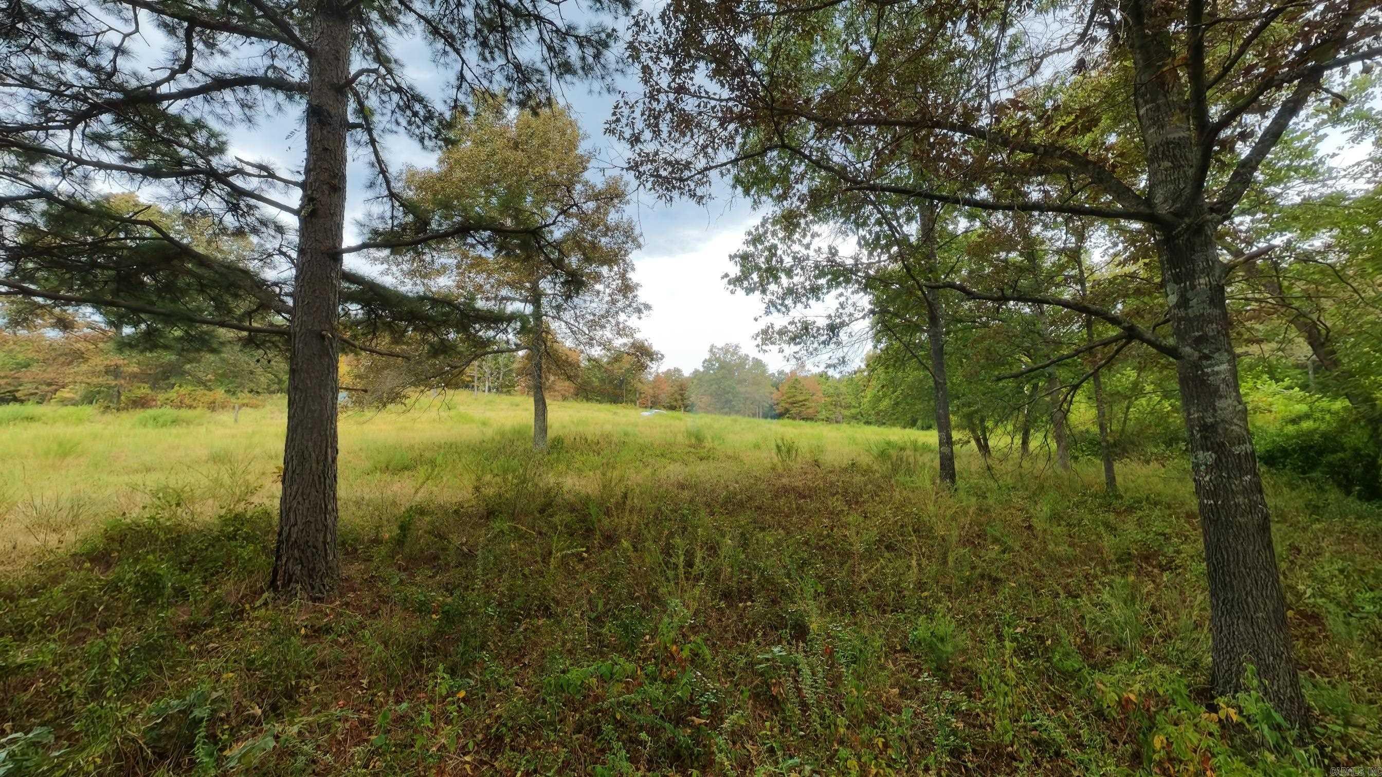 517 Sawmill Road Property Photo 50