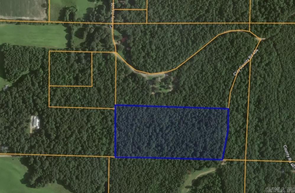 0 County Road 404 Property Photo 2